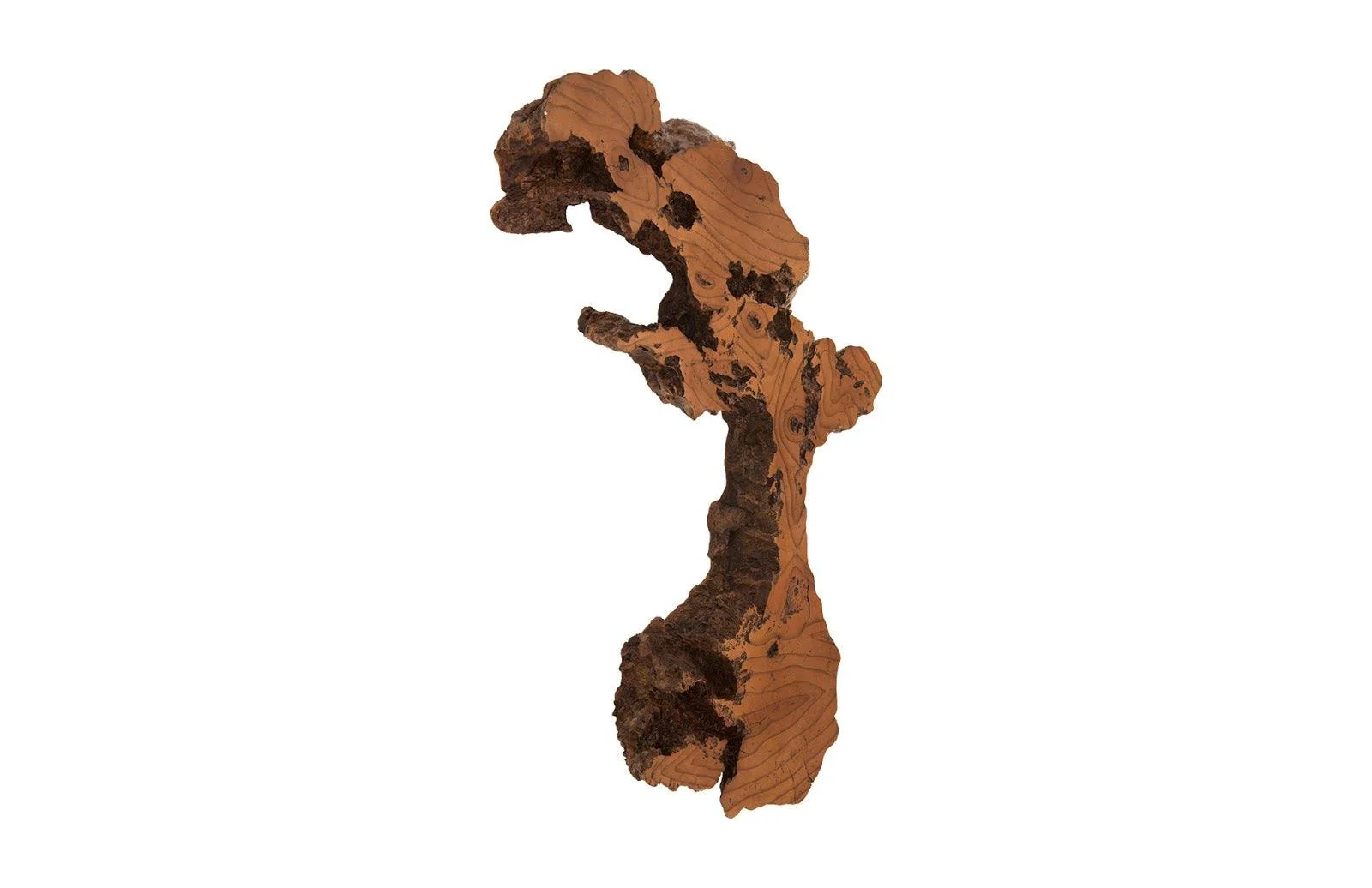 Burled Root Wall Art, Medium, Faux Bois Finish - Frankwebs