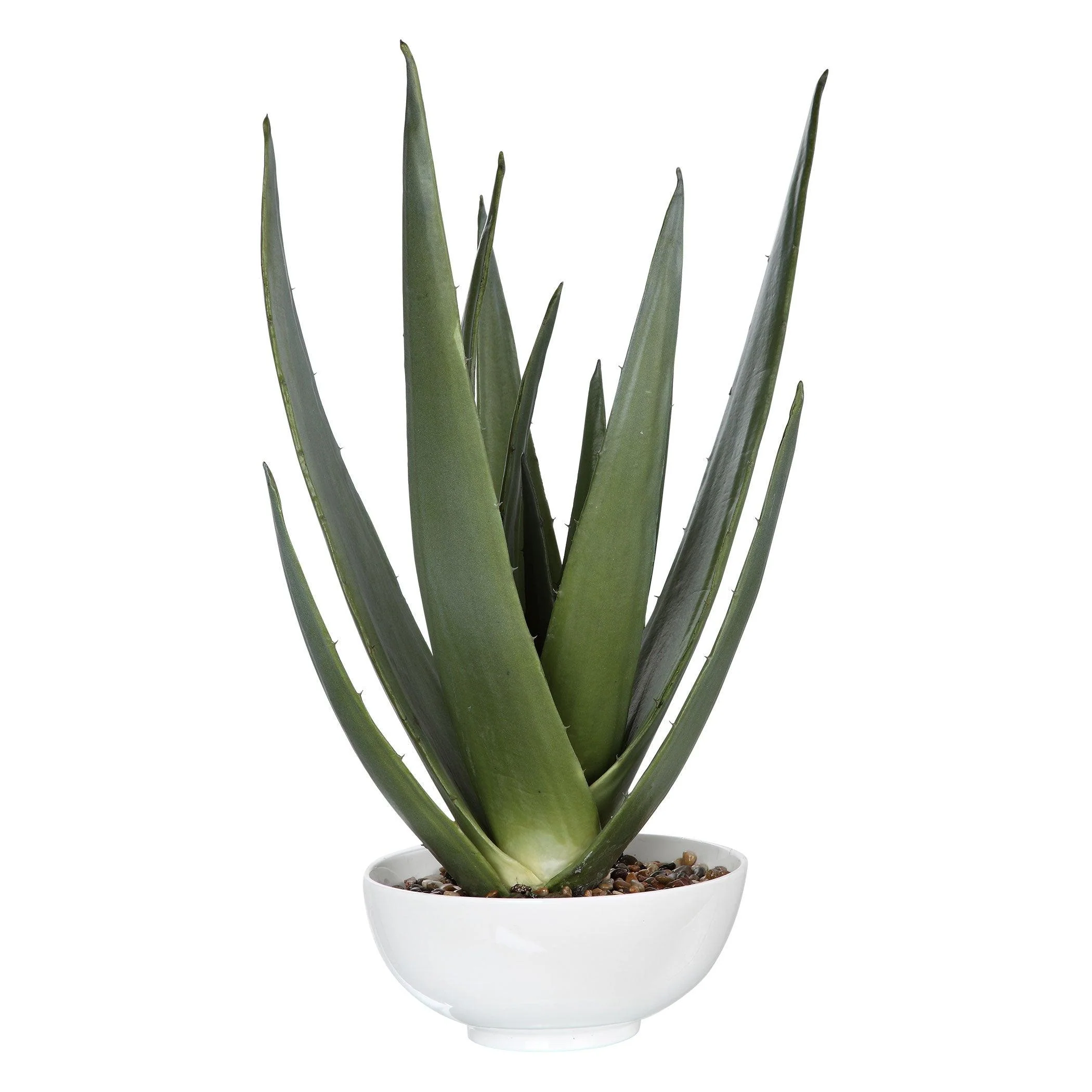 EVARADO ALOE PLANTER - Frankwebs