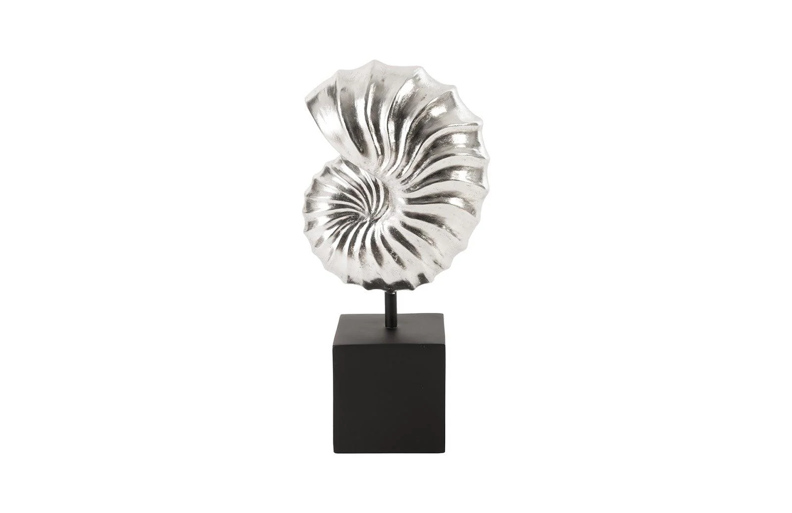 Nautilus Shell on Base, Silver Leaf - Frankwebs
