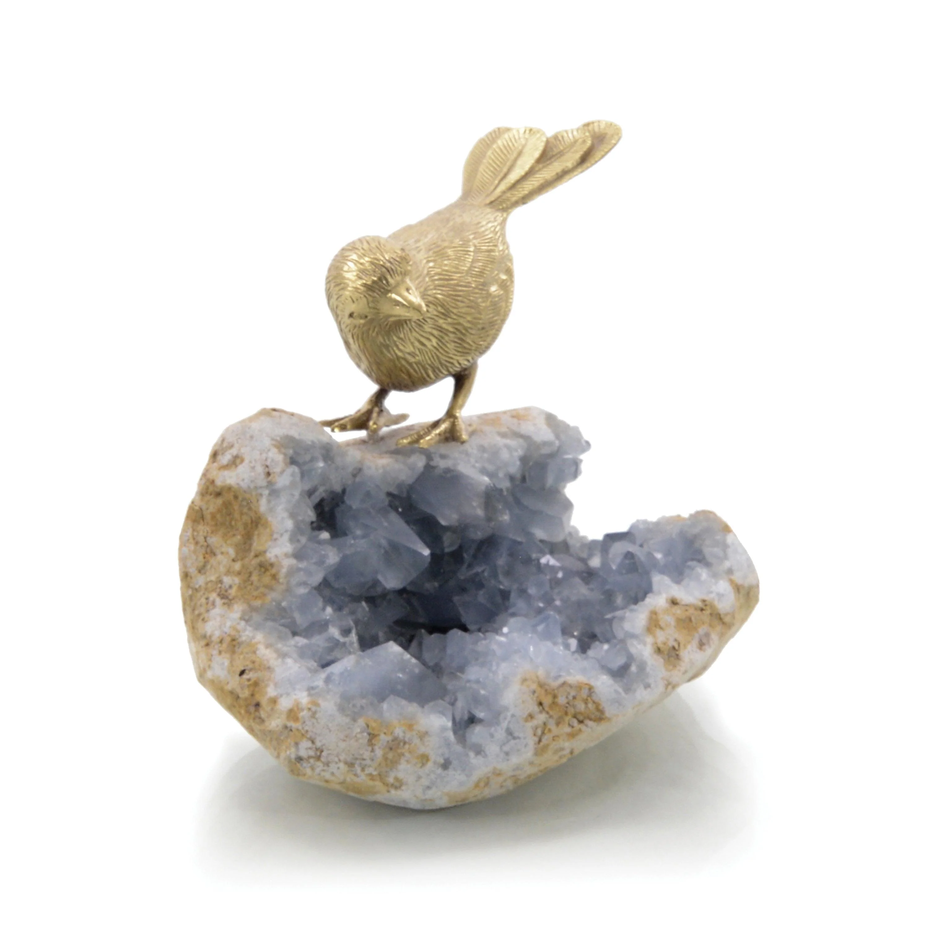 Bird On Celestite Rock II - Frankwebs