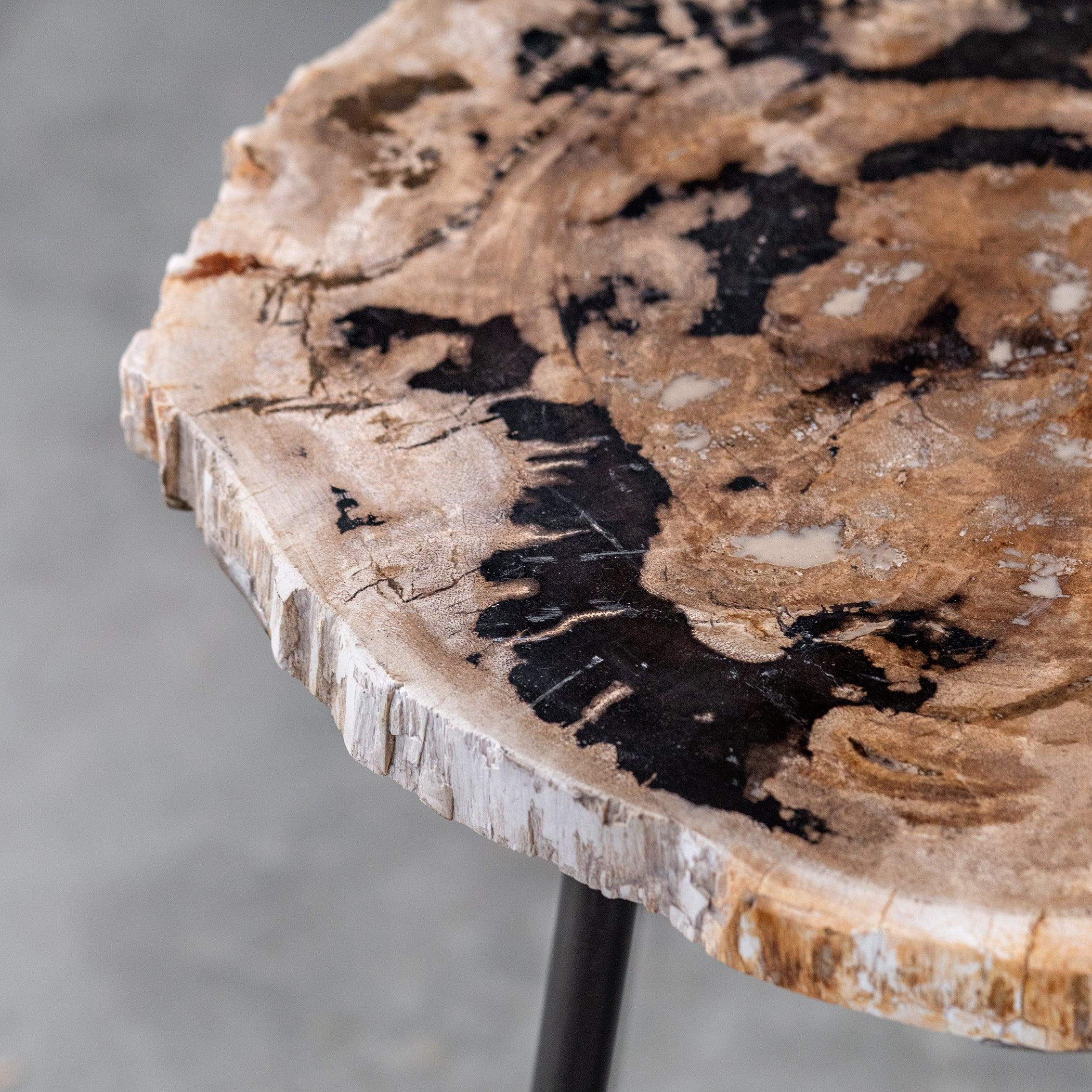 MIRCEA PETRIFIED WOOD ACCENT TABLE - Frankwebs