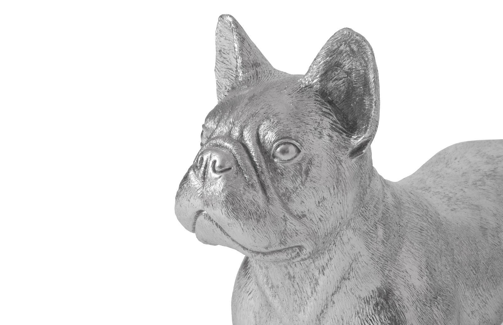 French Bulldog, Silver - Frankwebs