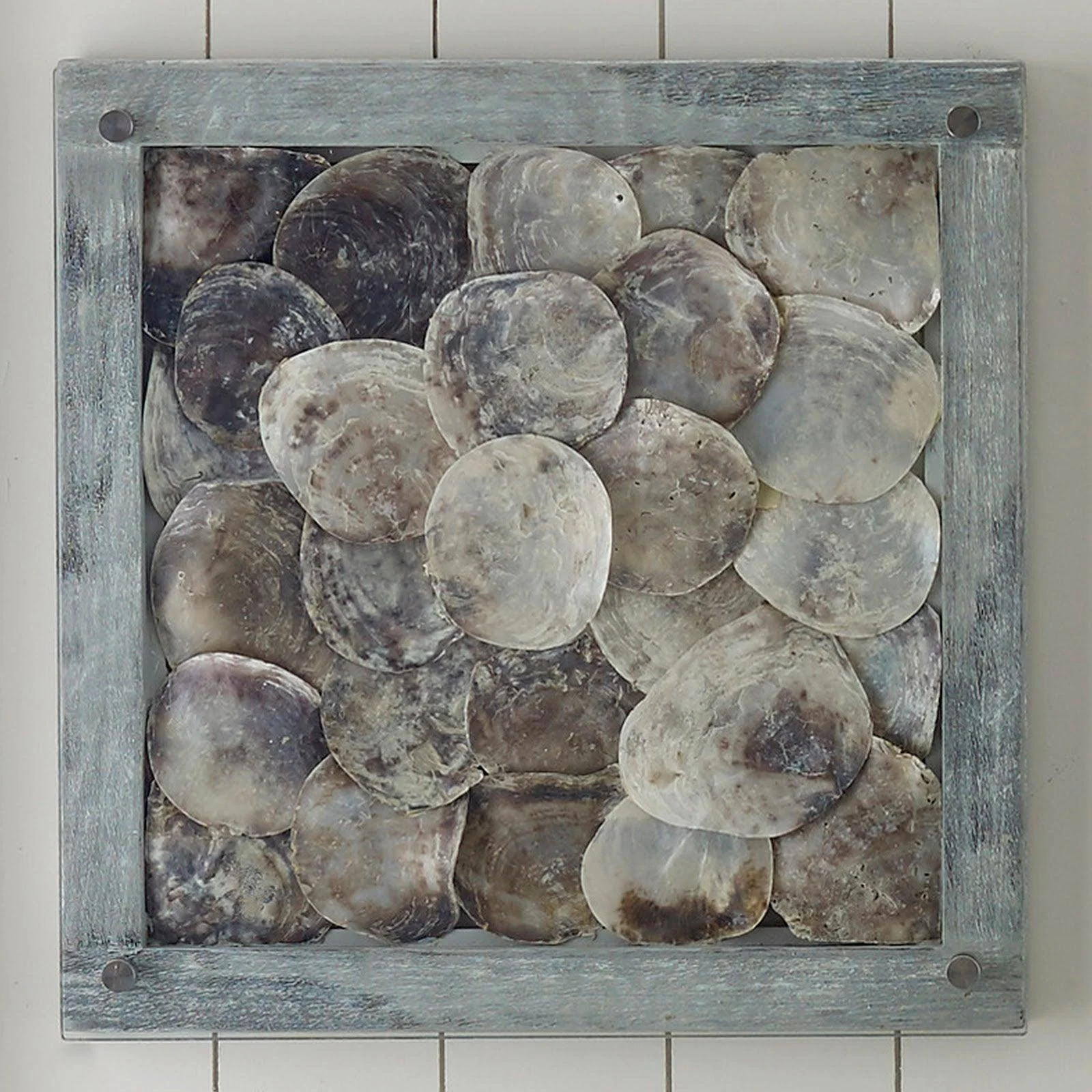 Shell Wall Tile, w/Glass - Frankwebs