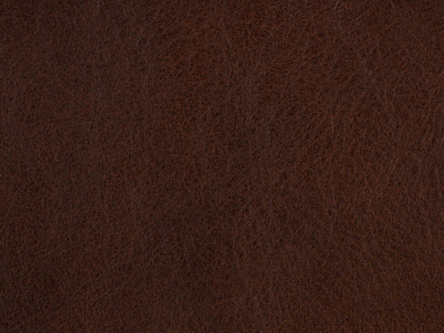 Sasha Executive Swivel Tilt Chair - Frankwebs