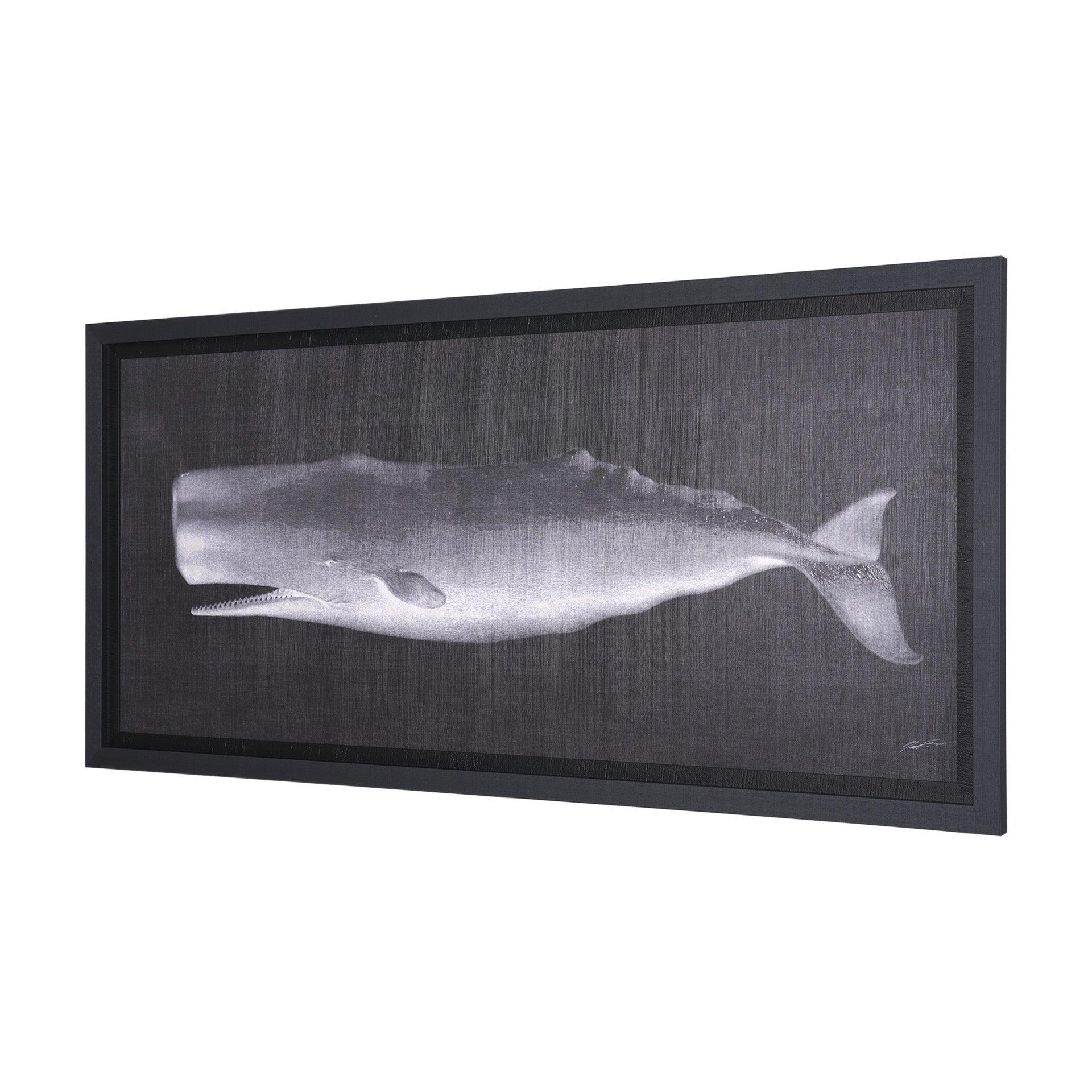 Whale Watching II - Frankwebs