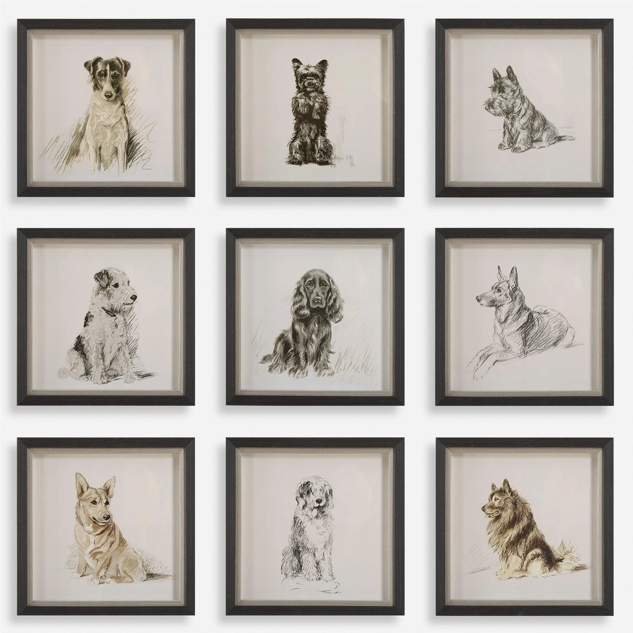 Loyal Companion Framed Dog Prints, S/9 - Frankwebs