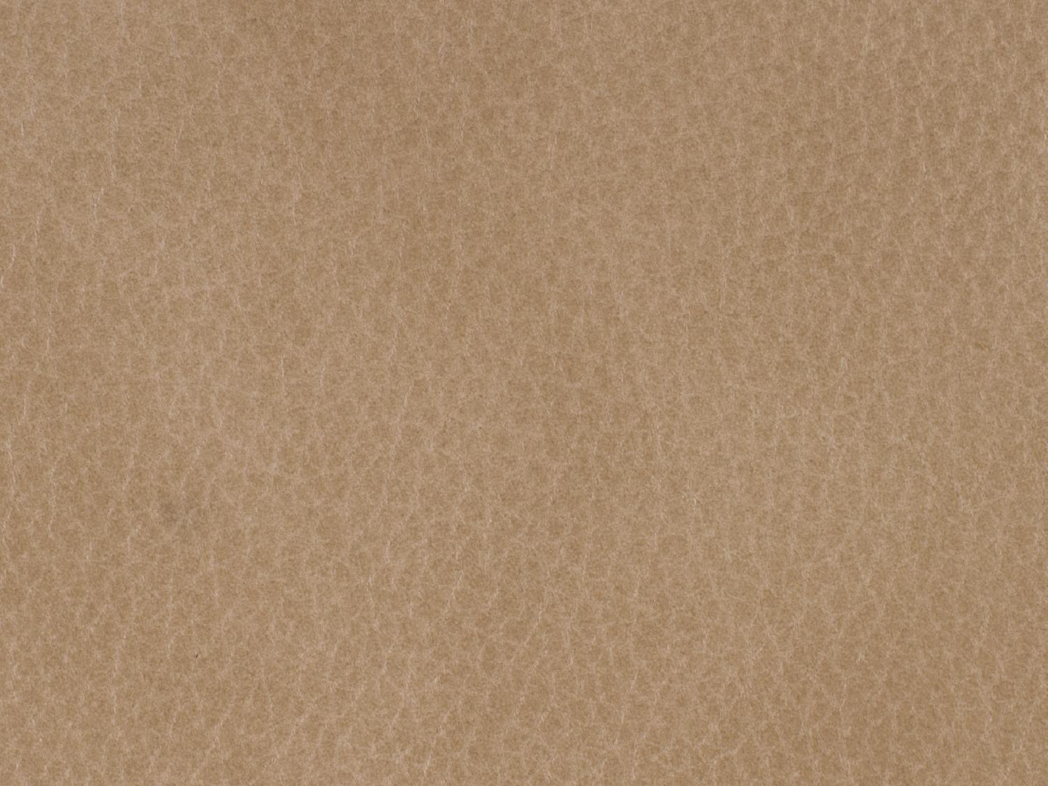 Lynn Executive Swivel Tilt Chair - Frankwebs