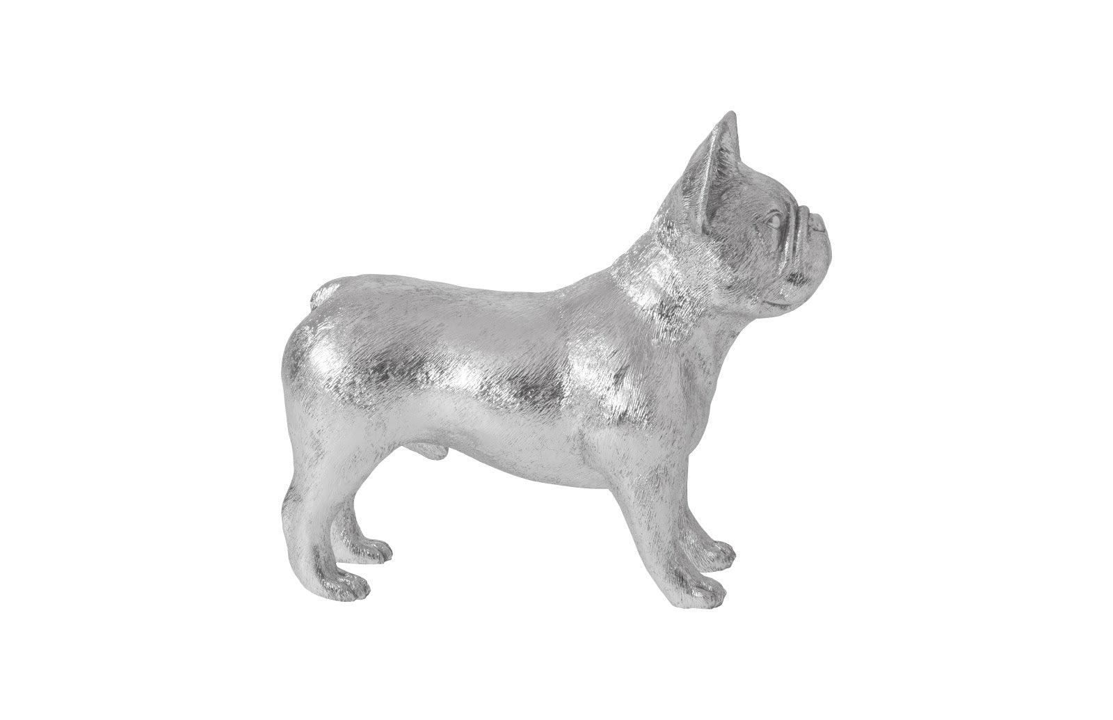 French Bulldog, Silver - Frankwebs