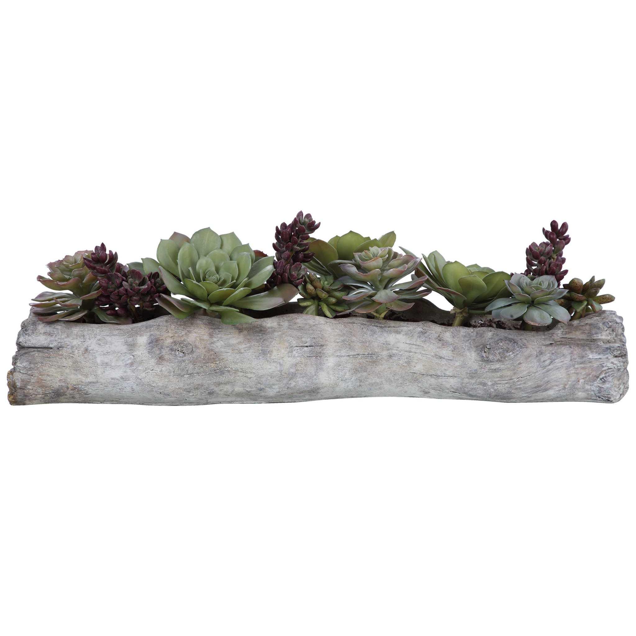 Charita Lush Succulents - Frankwebs
