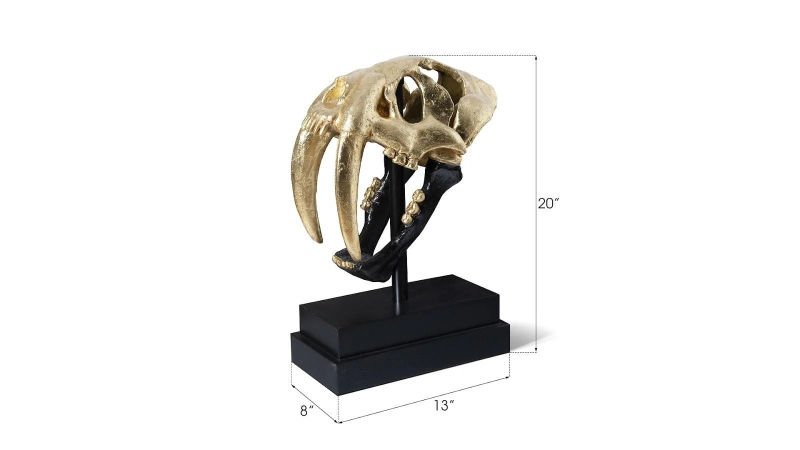 Saber Tooth Tiger Skull, Black, Gold Leaf - Frankwebs