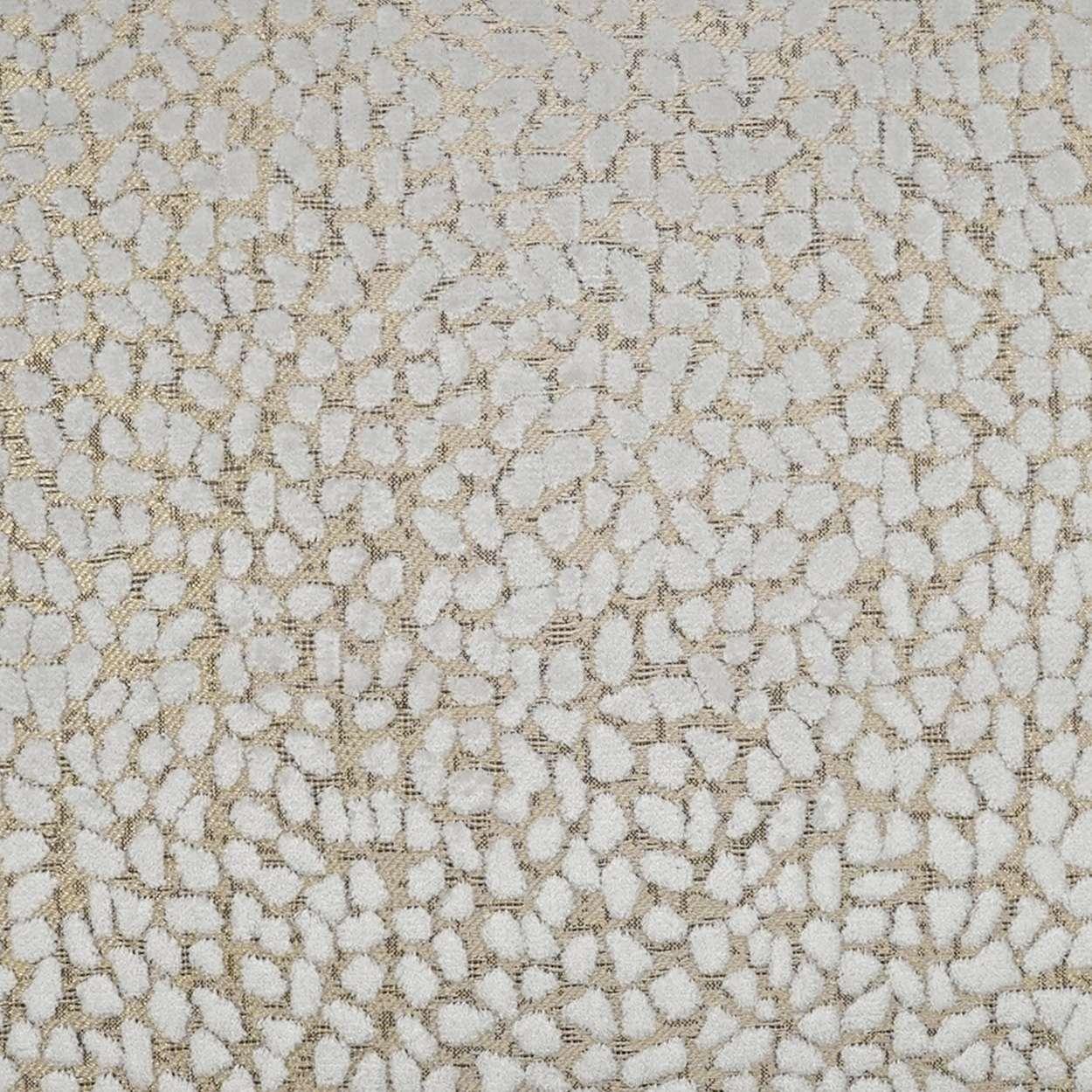 Jelly Beanz Pillow - Frankwebs