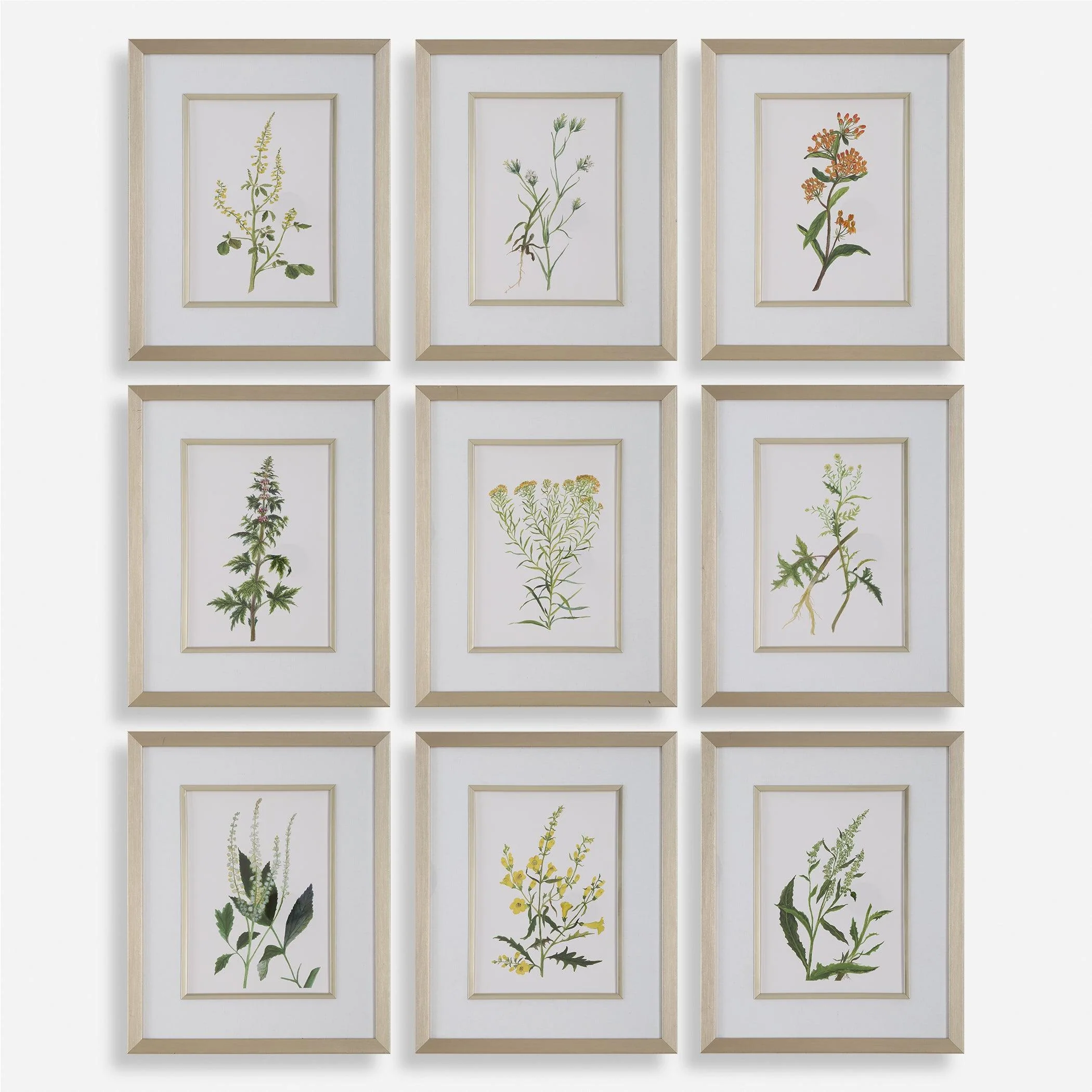 Botanical Flowers Framed Prints, S/9 - Frankwebs