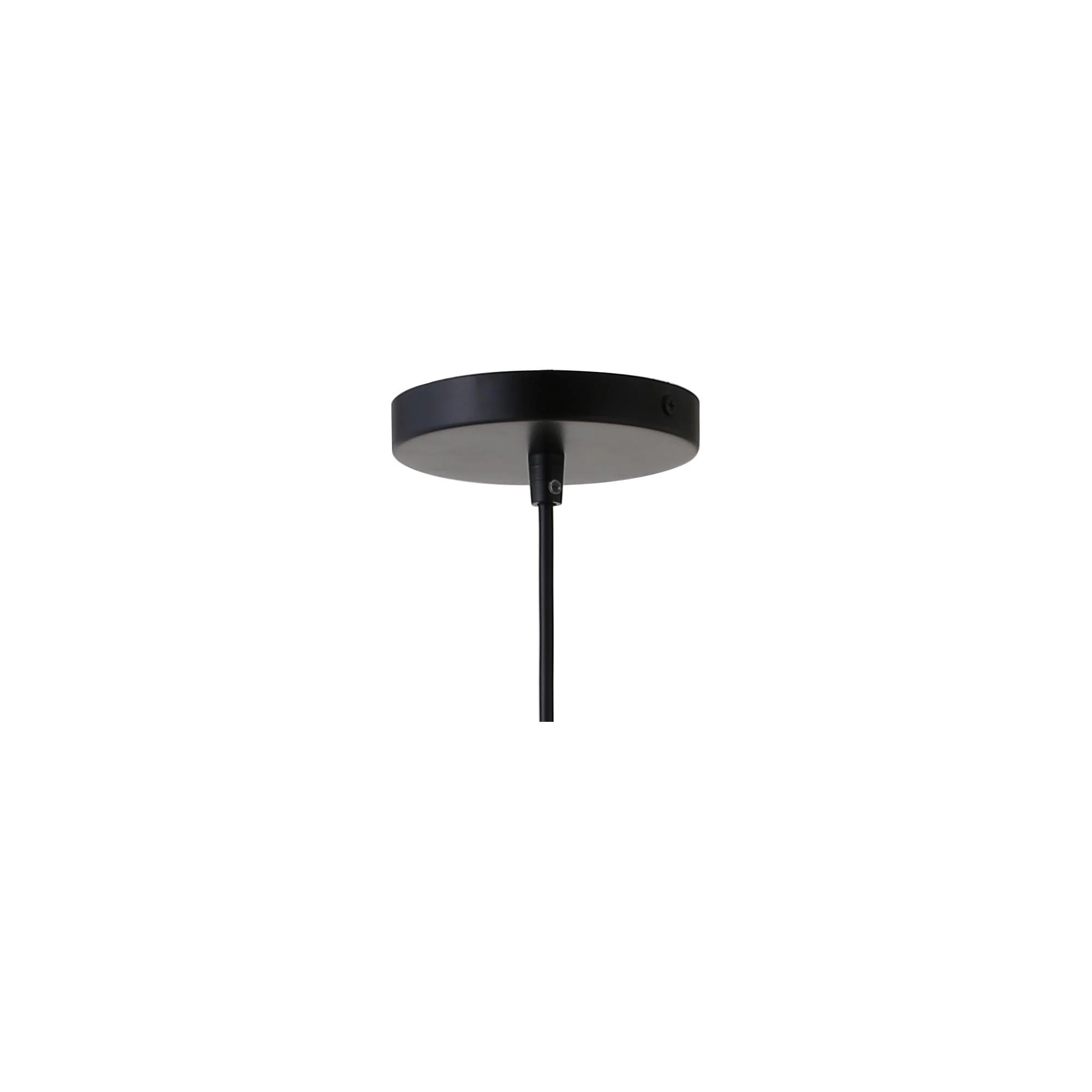 Illume Pendant Light - Frankwebs