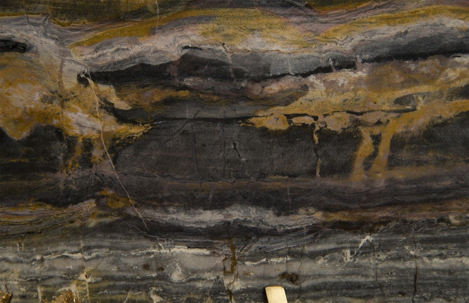 Gem Wall Tile in Brass Setting, Earth Marble - Frankwebs