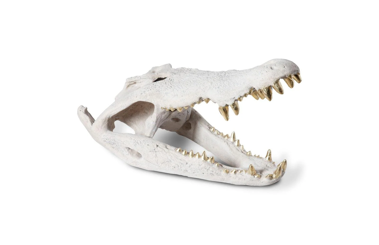 Crocodile Skull, Roman Stone, Gold Leaf - Frankwebs