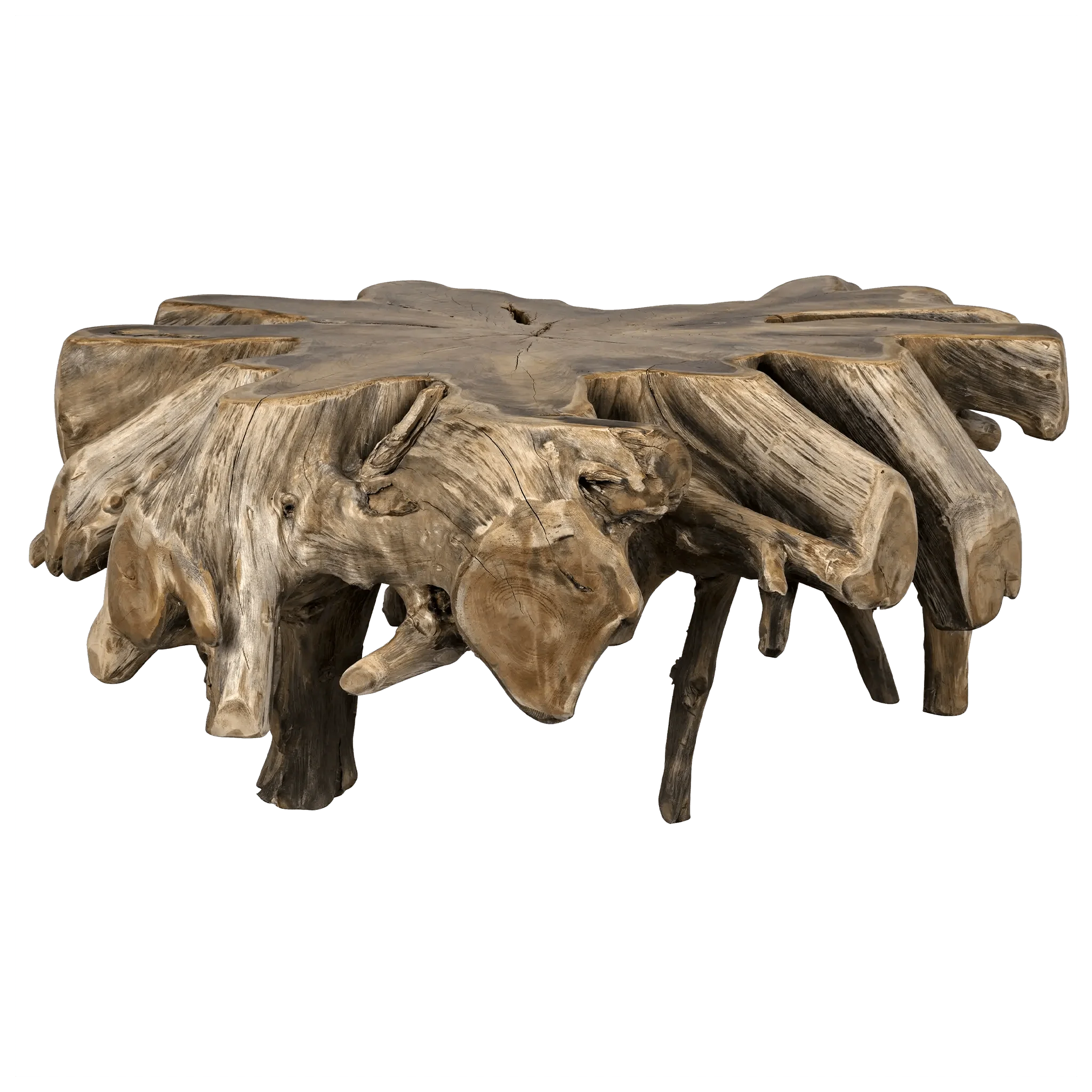 Teak Root Coffee Table - Frankwebs