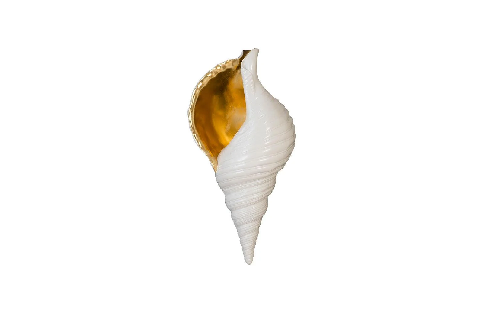 Triton Shell Wall Art, Pearl White and Gold Leaf - Frankwebs
