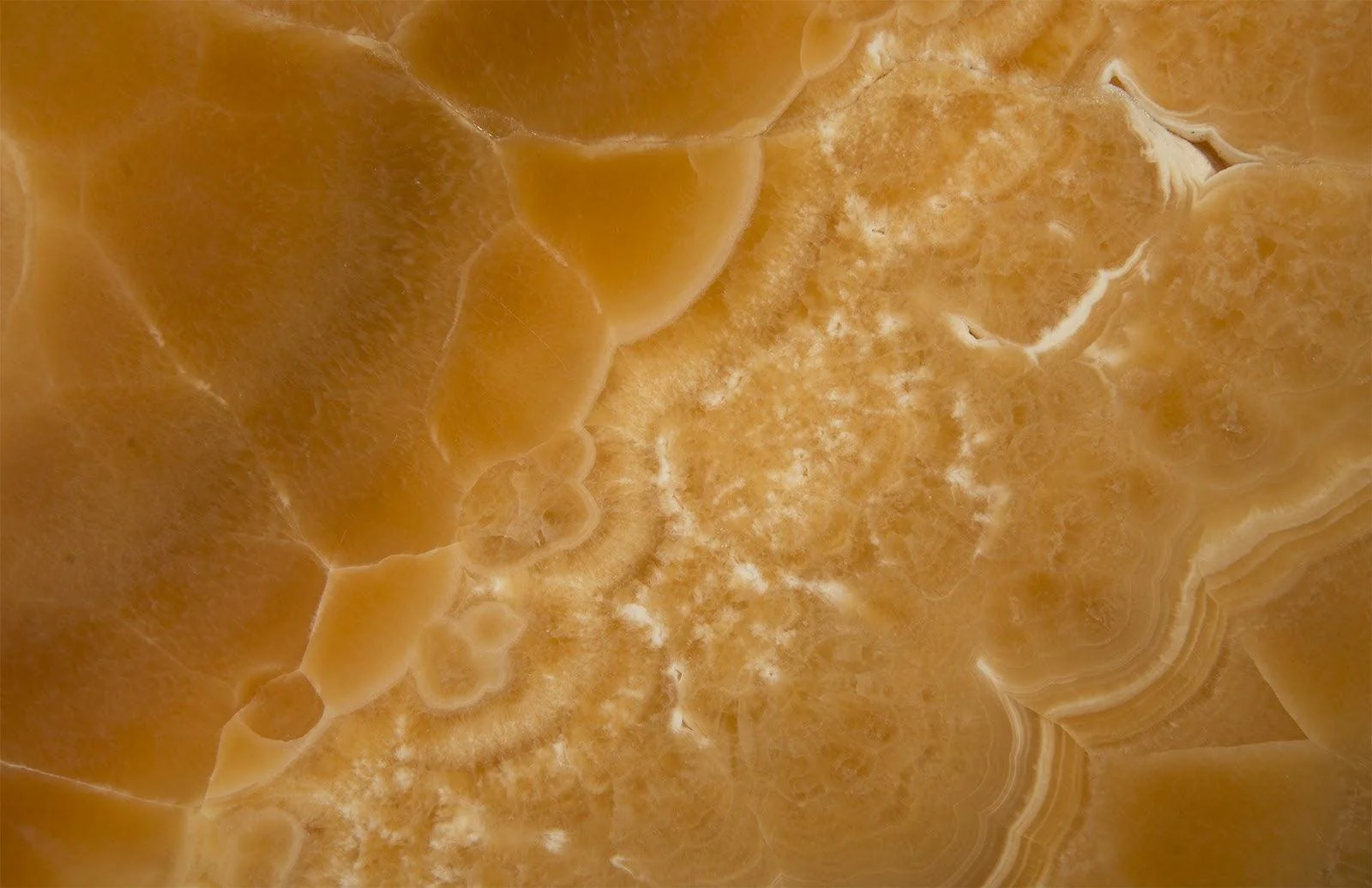 Gem Wall Tile in Brass Setting, Sand Onyx - Frankwebs