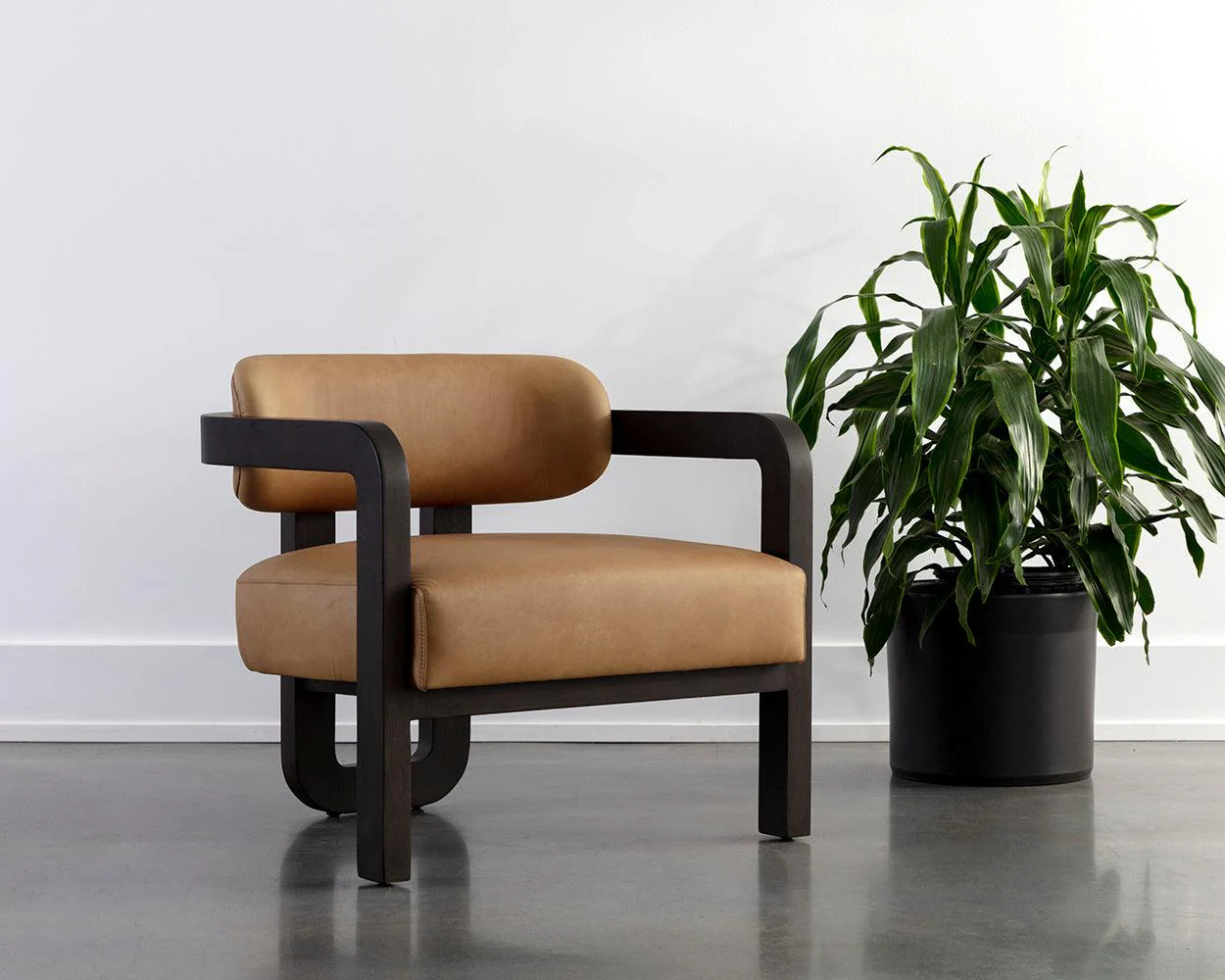 Madrone Lounge Chair - Frankwebs