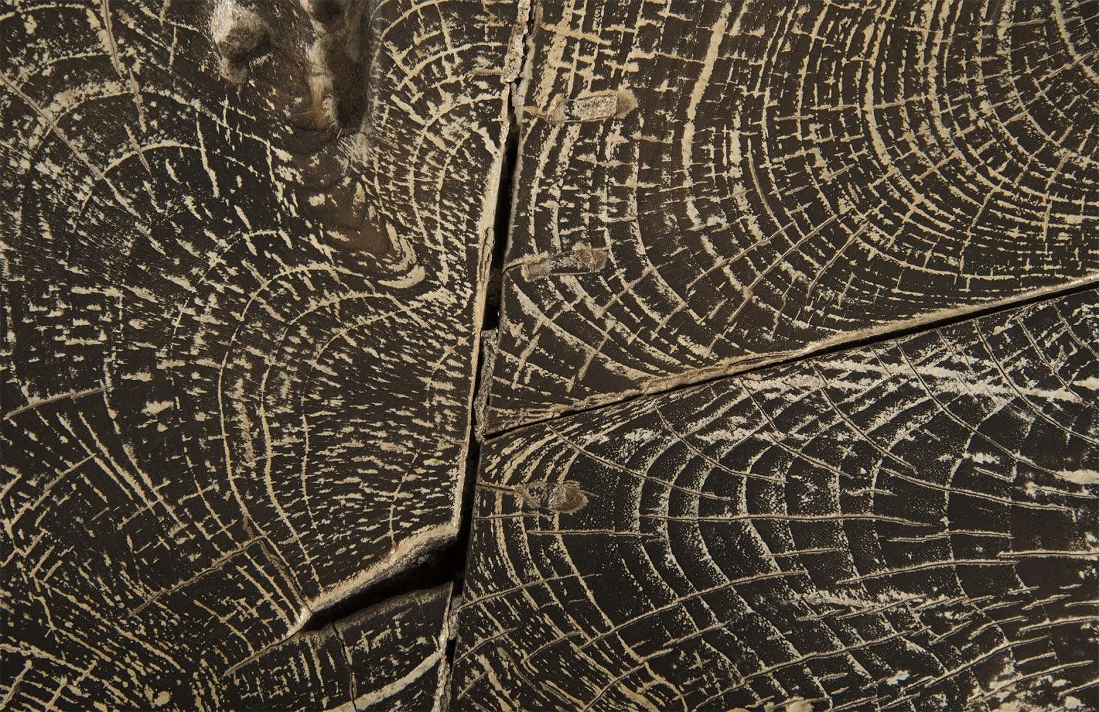 Driftwood Top Coffee Table, Black Wash - Frankwebs