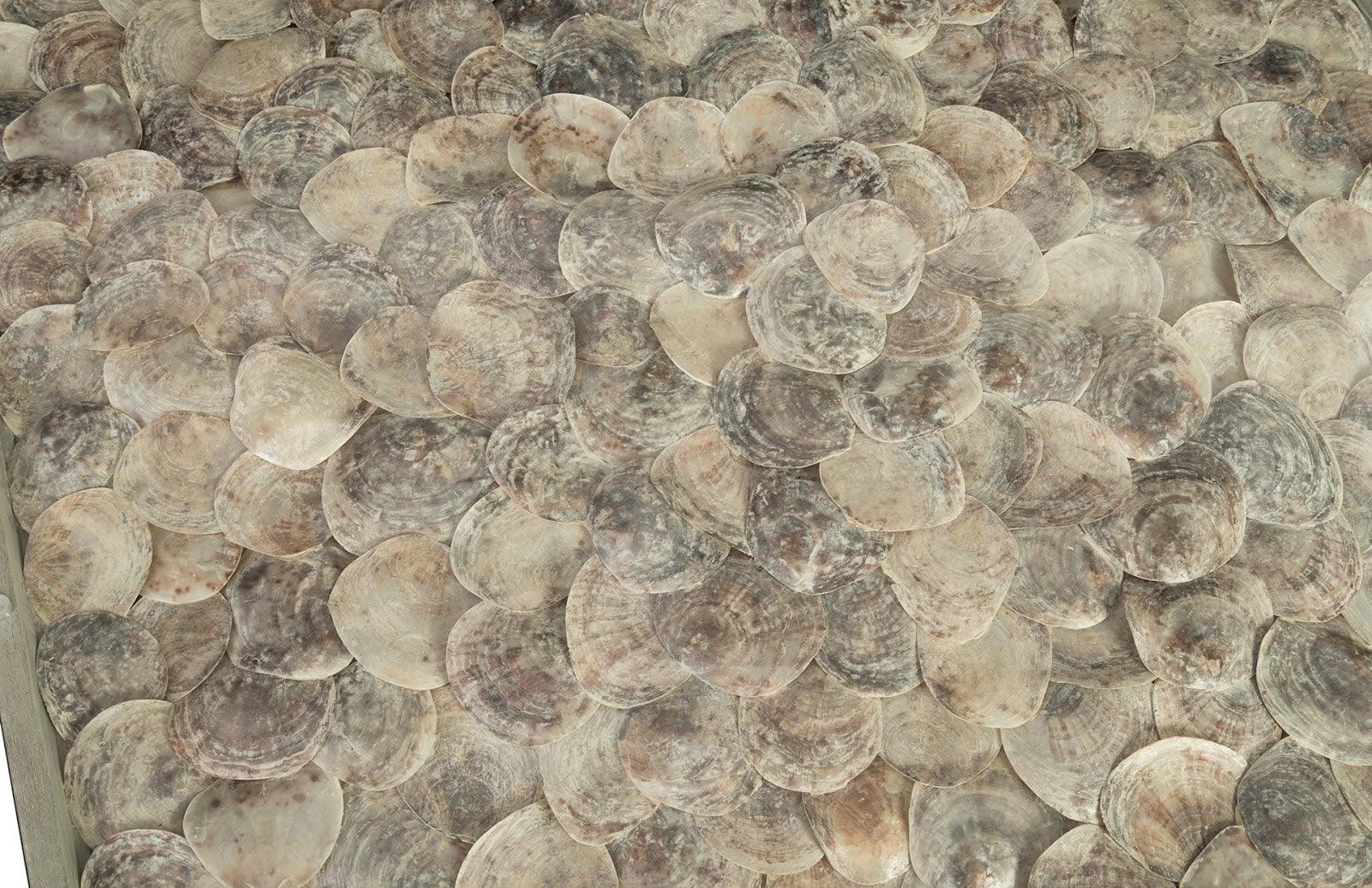 Shell Coffee Table, Glass Top, Ming Stainless Steel Legs - Frankwebs