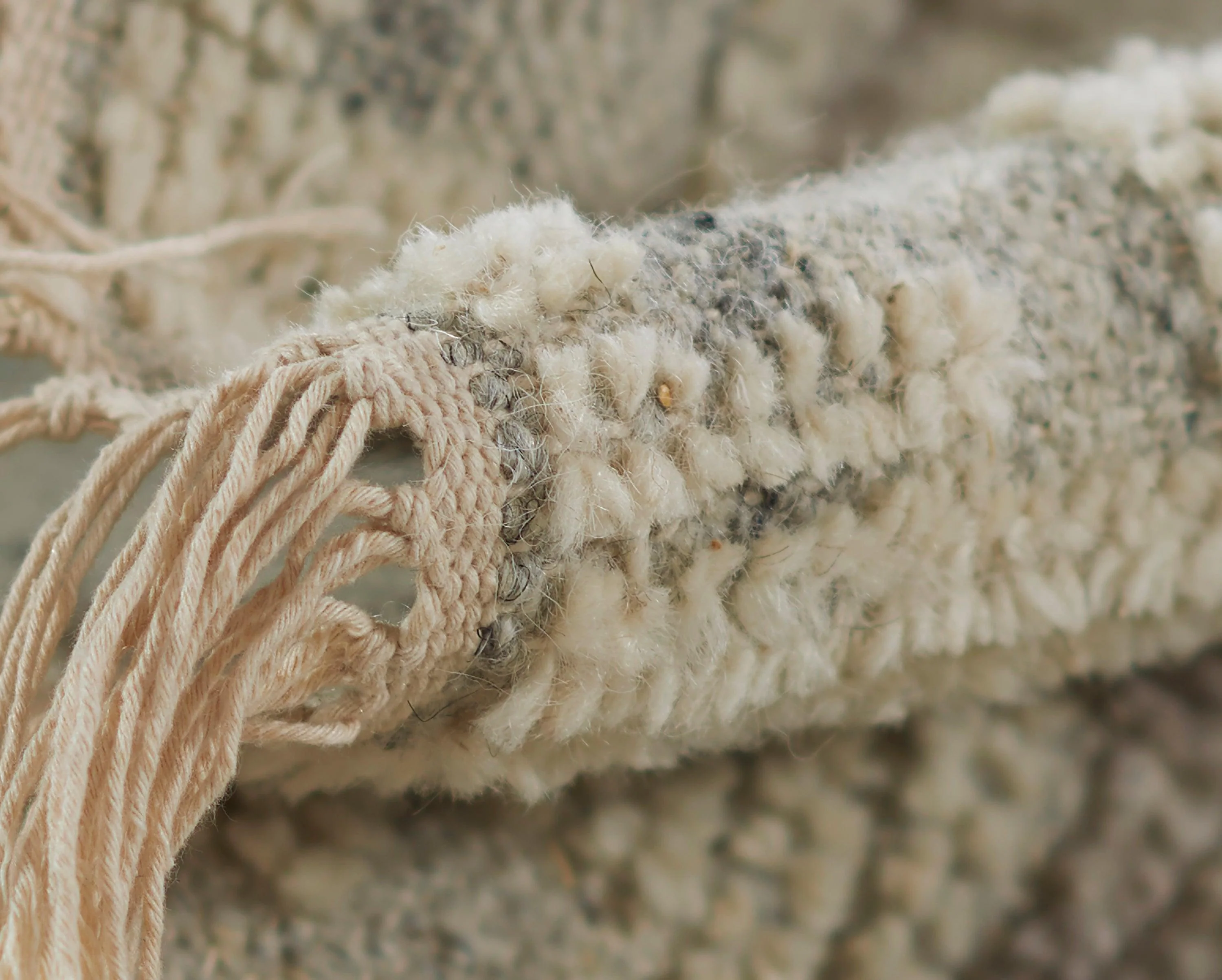 Bristol 4 - Frankwebs