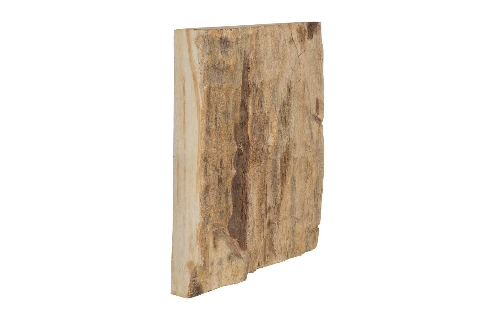 Cast Petrified Wood Wall Tile, Resin, Square - Frankwebs
