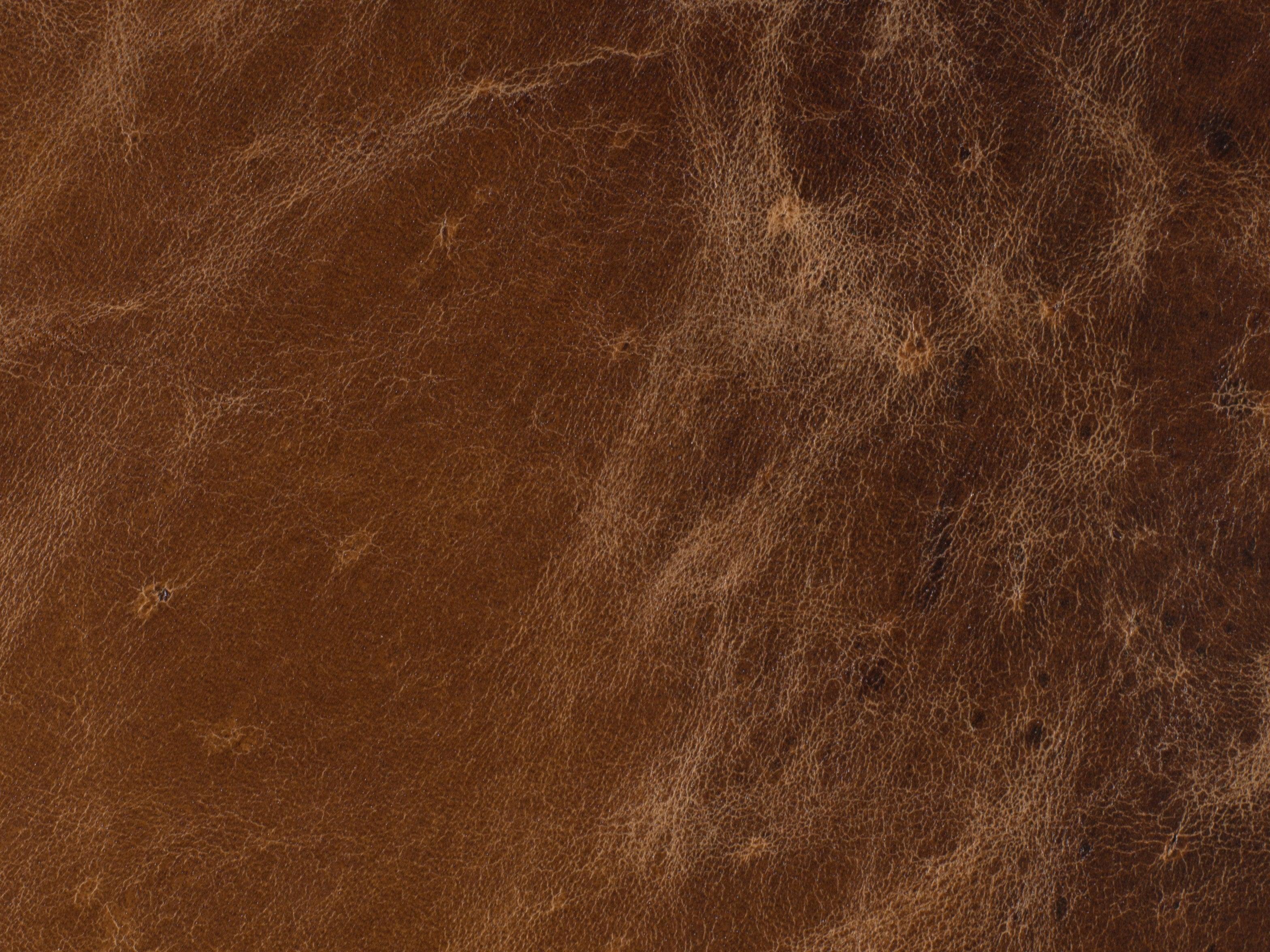 Barker Executive Swivel Tilt Chair - Frankwebs