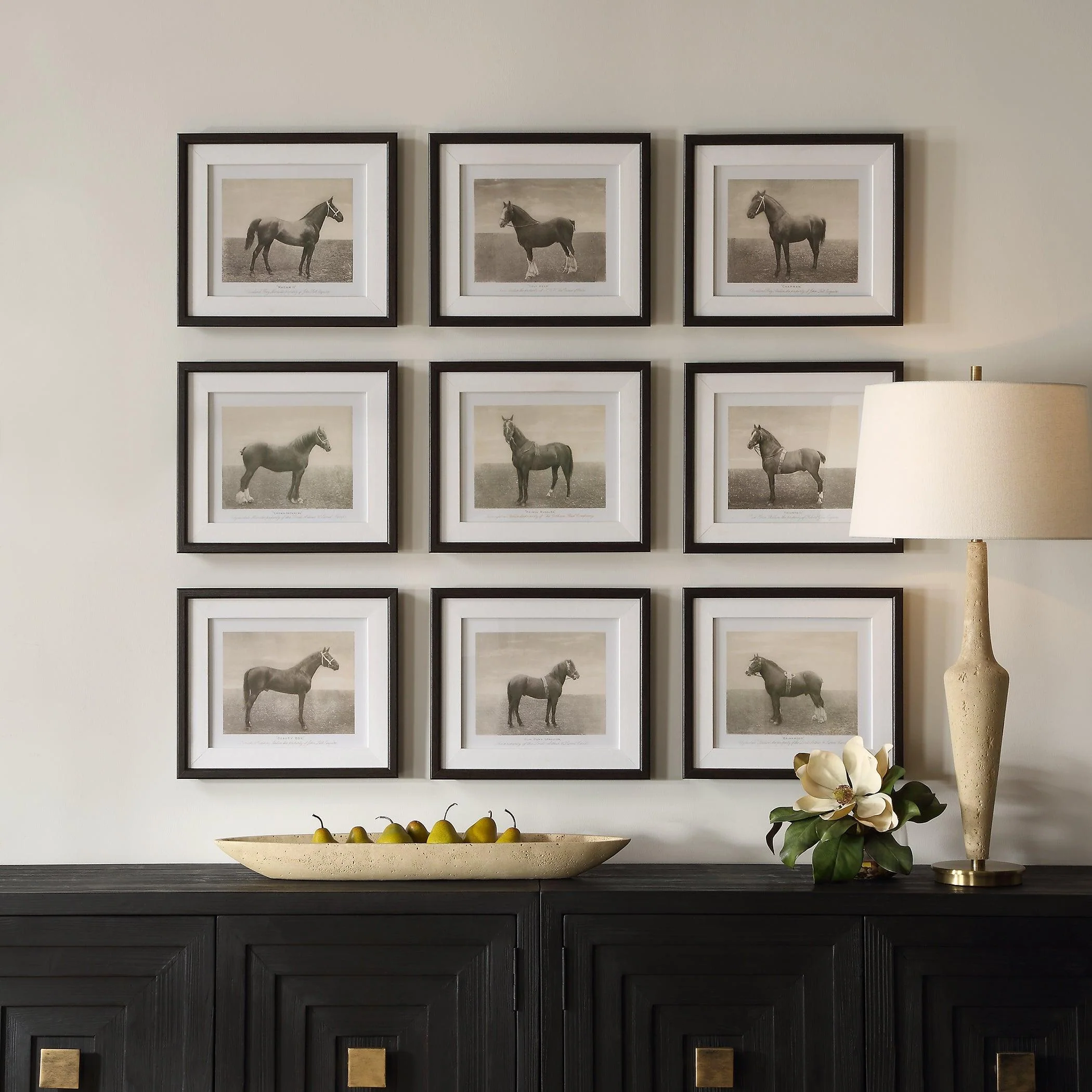 Equine Dynasty Framed Prints, S/9 - Frankwebs