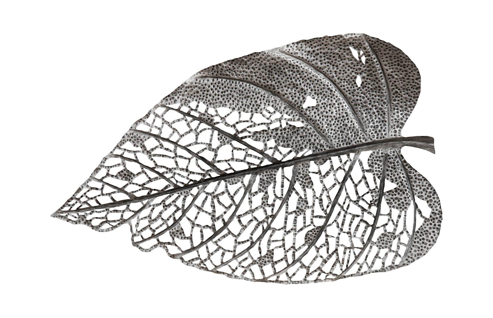 Birch Leaf Wall Art, Silver, XL - Frankwebs