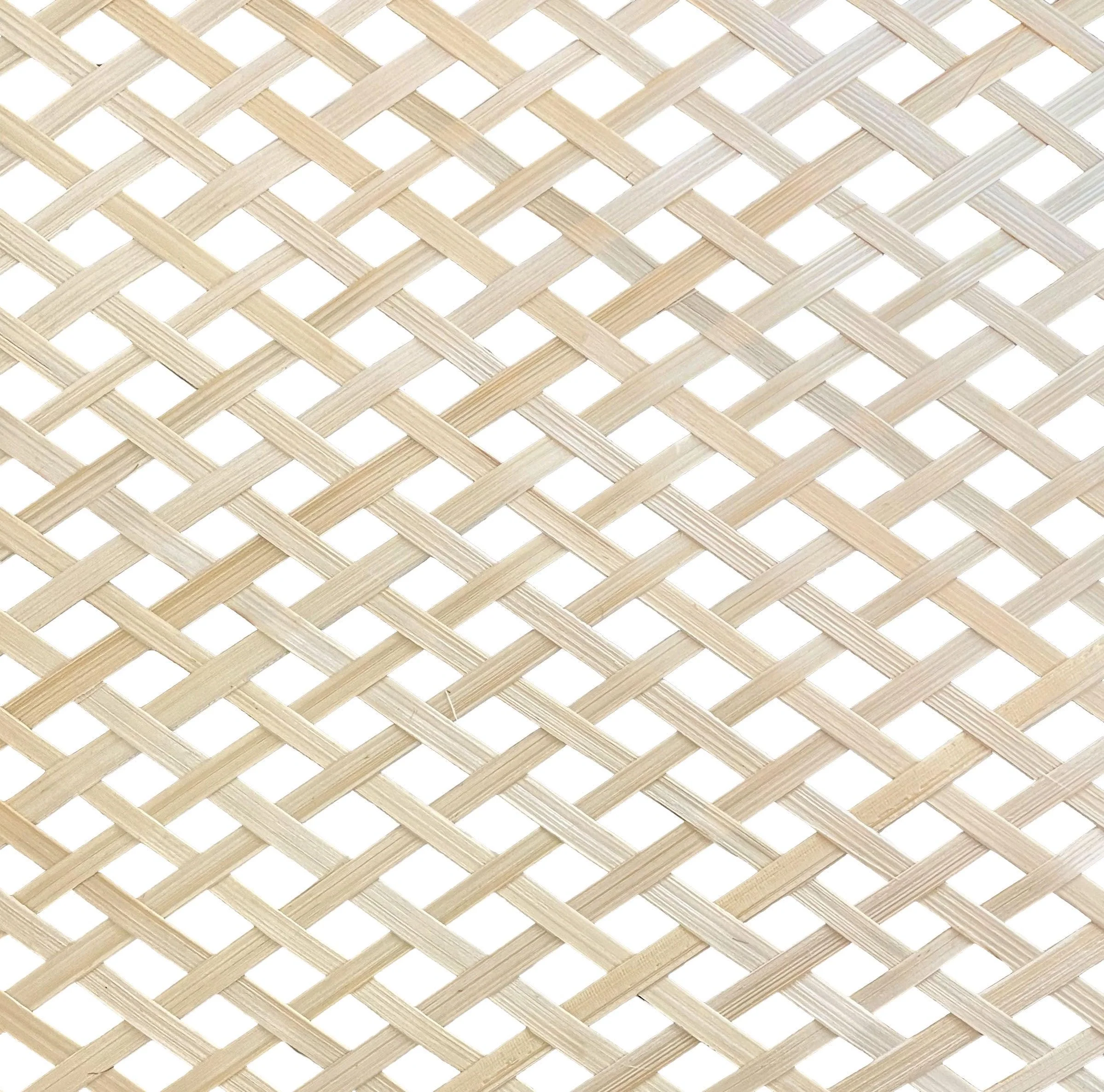 Finch Ceiling Lamp - Frankwebs