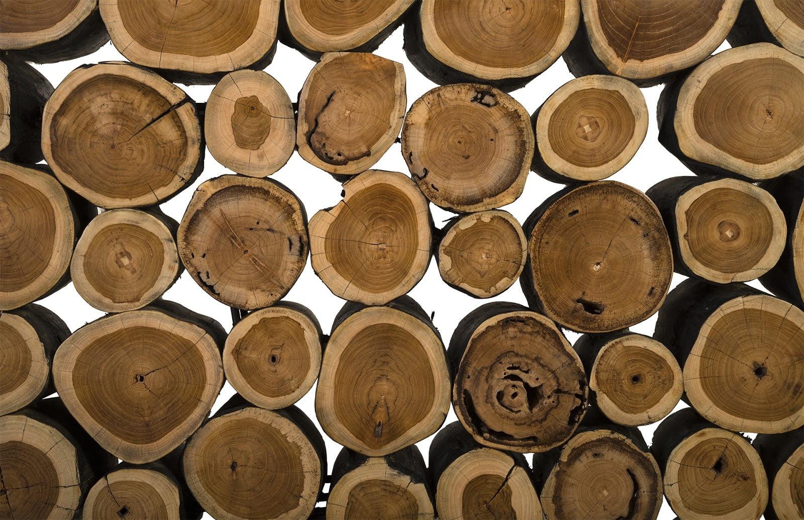 Boscage Console Table, Iron Frame - Frankwebs