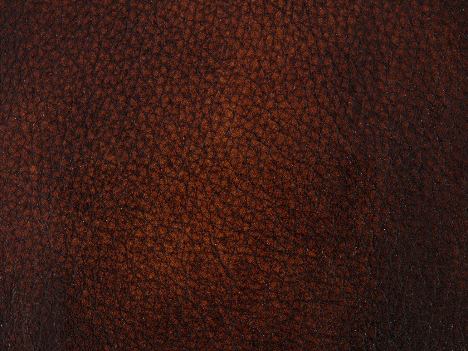 Samuel Executive Swivel Tilt Chair - Frankwebs