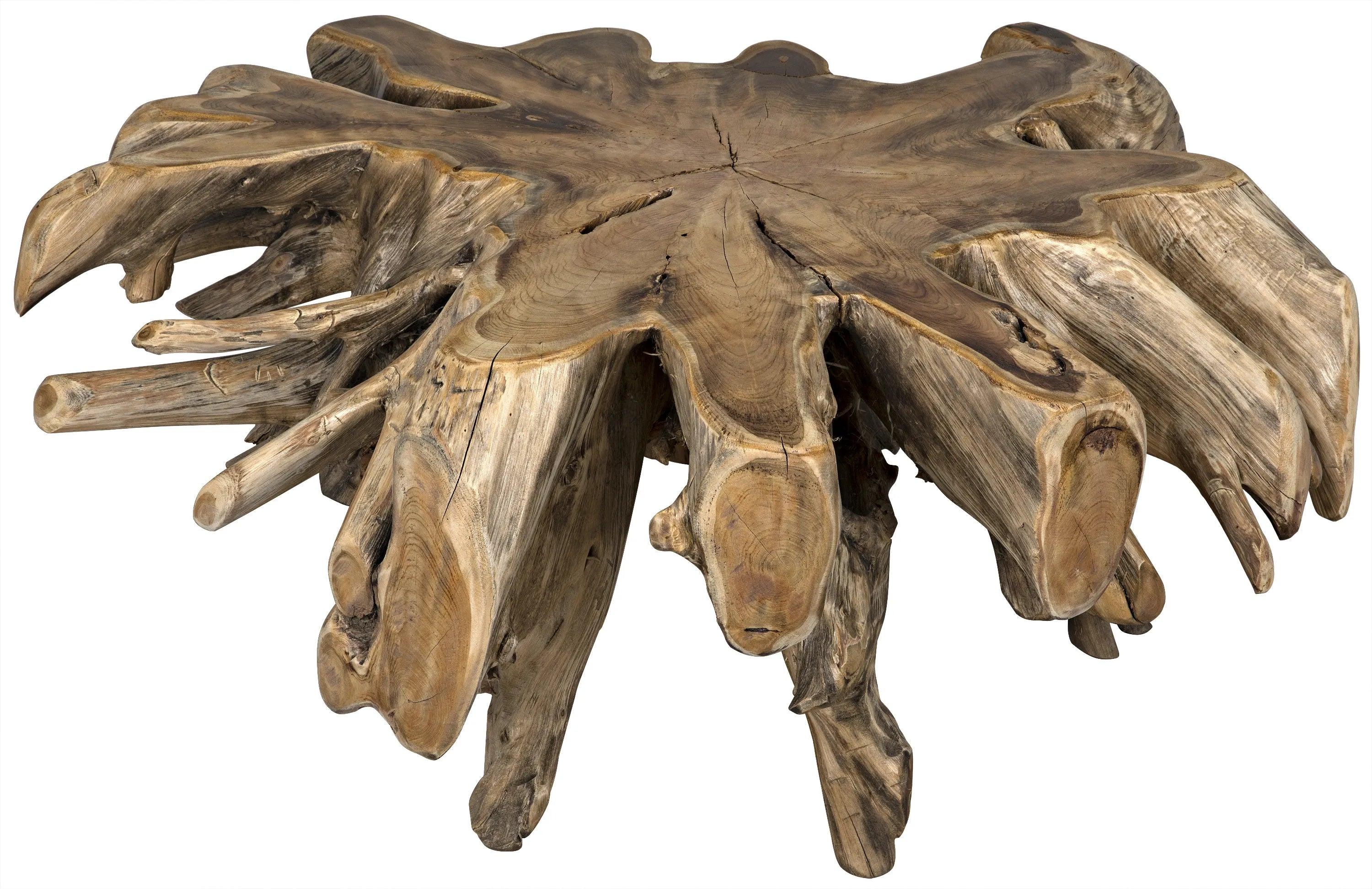 Teak Root Coffee Table - Frankwebs