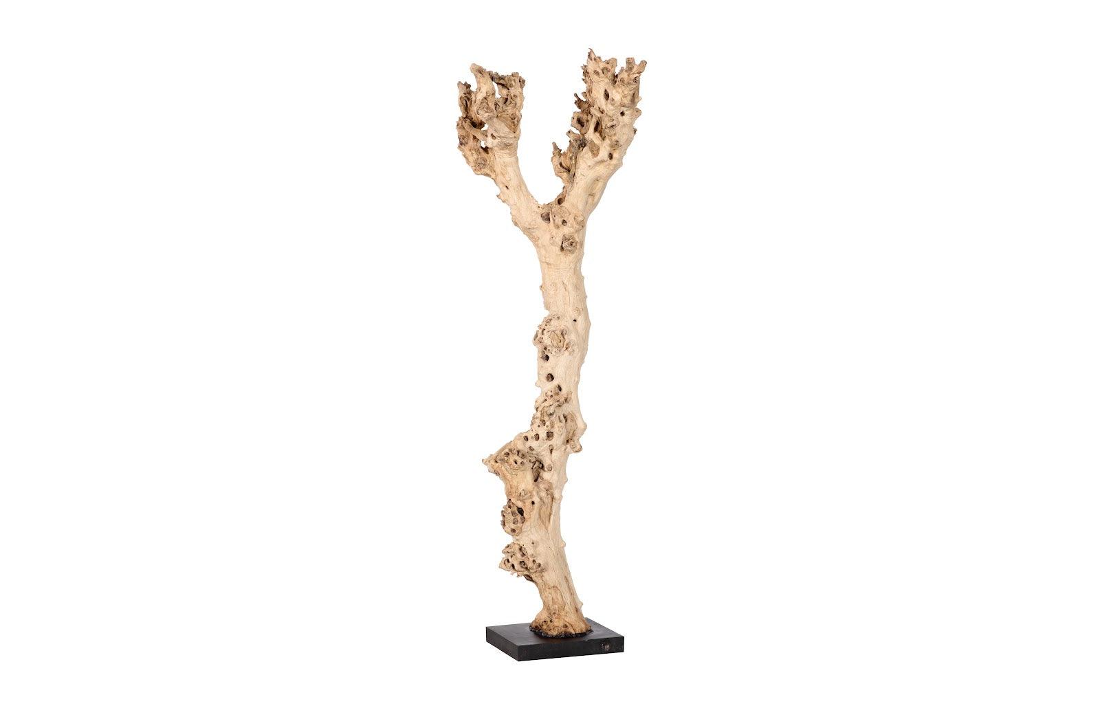 Wood Sculpture, Assorted - Frankwebs