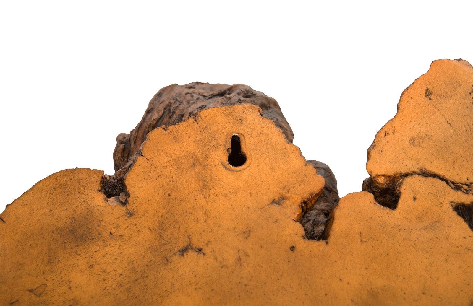 Burled Root Wall Art, Medium, Faux Bois Finish - Frankwebs