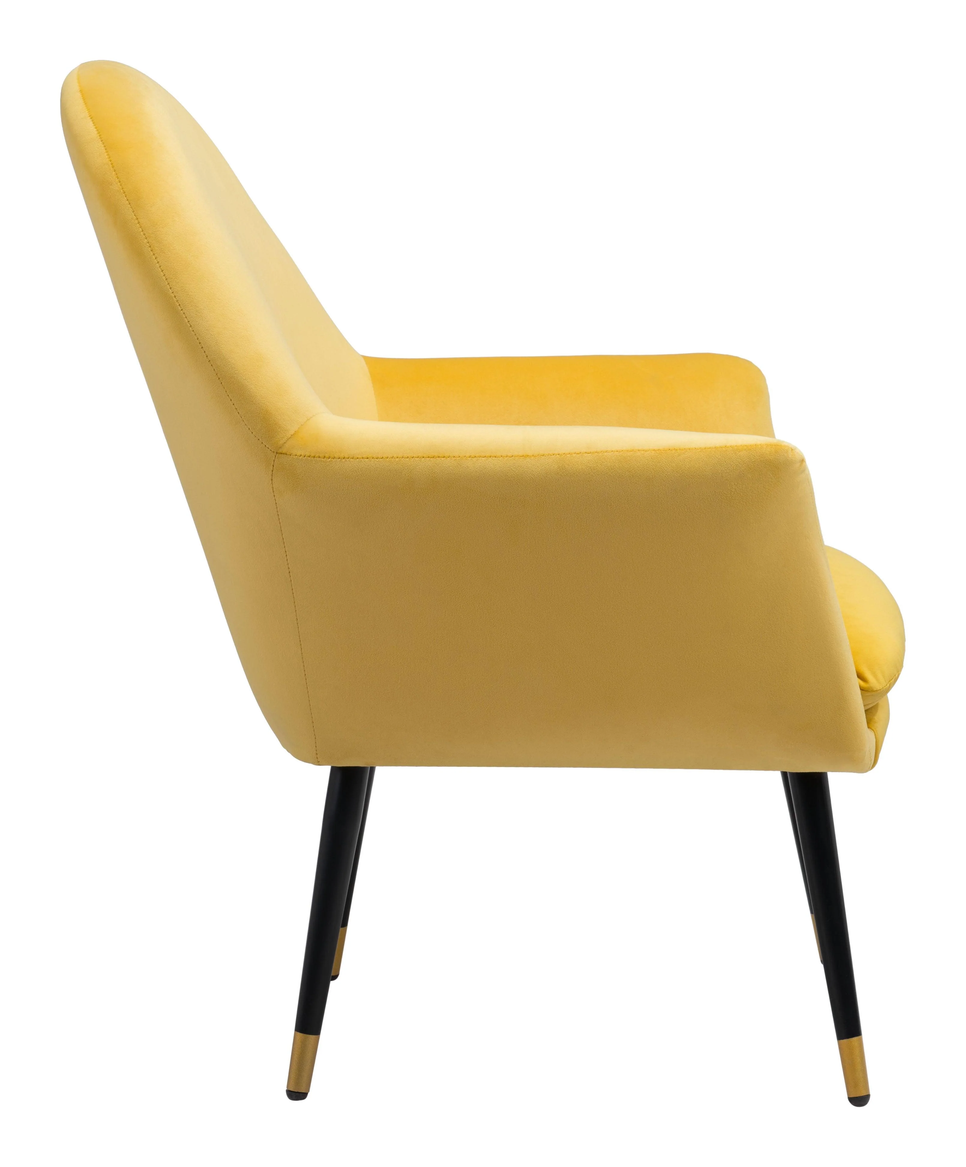 Alexandria Accent Chair - Frankwebs
