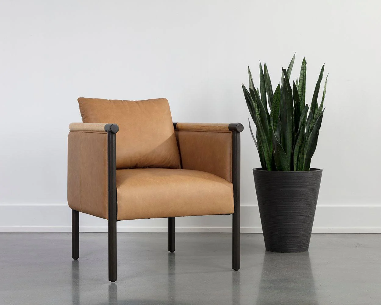 Wilder Lounge Chair - Frankwebs