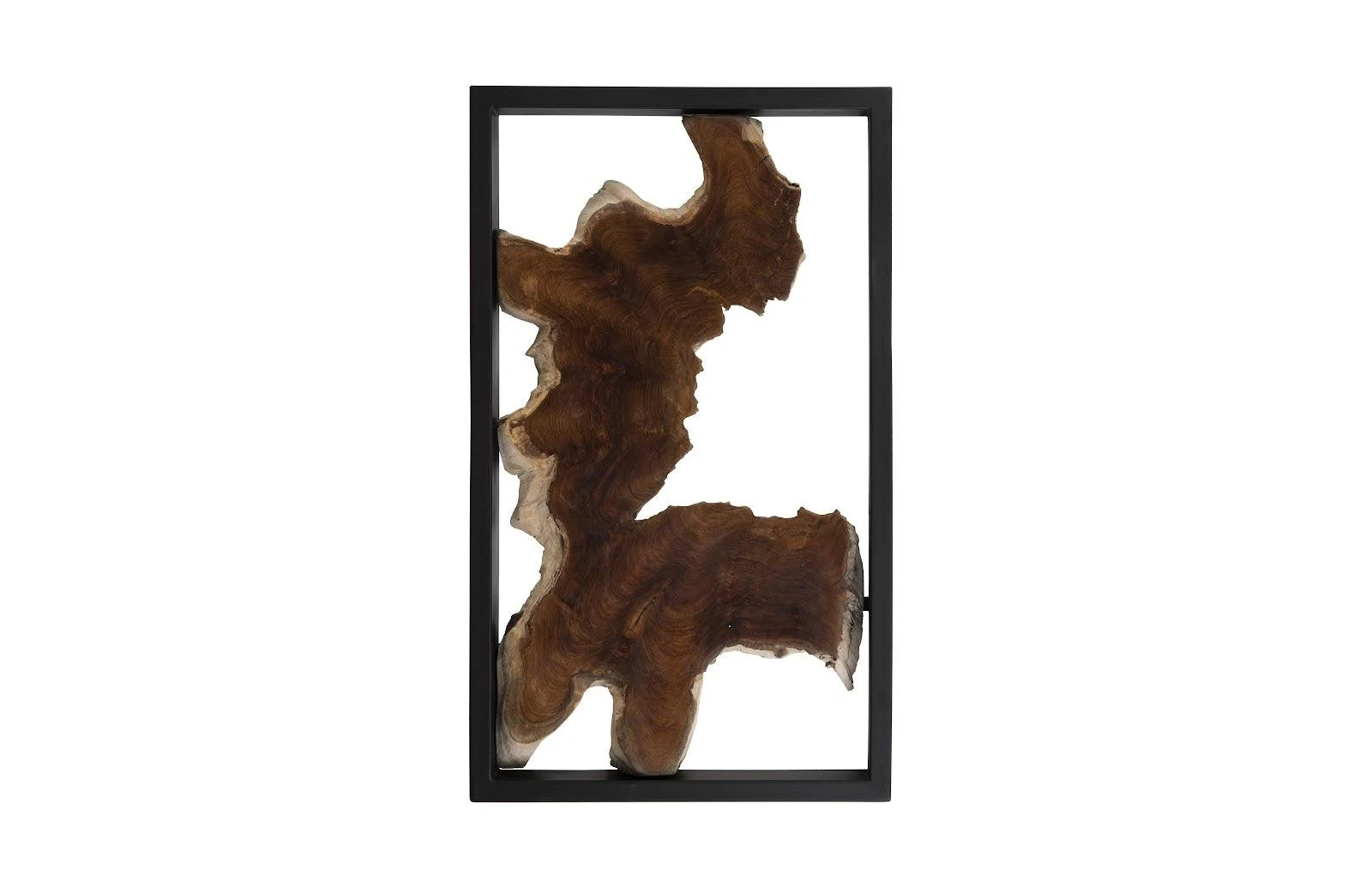 Framed Root Wall Art, Rectangle, Black - Frankwebs