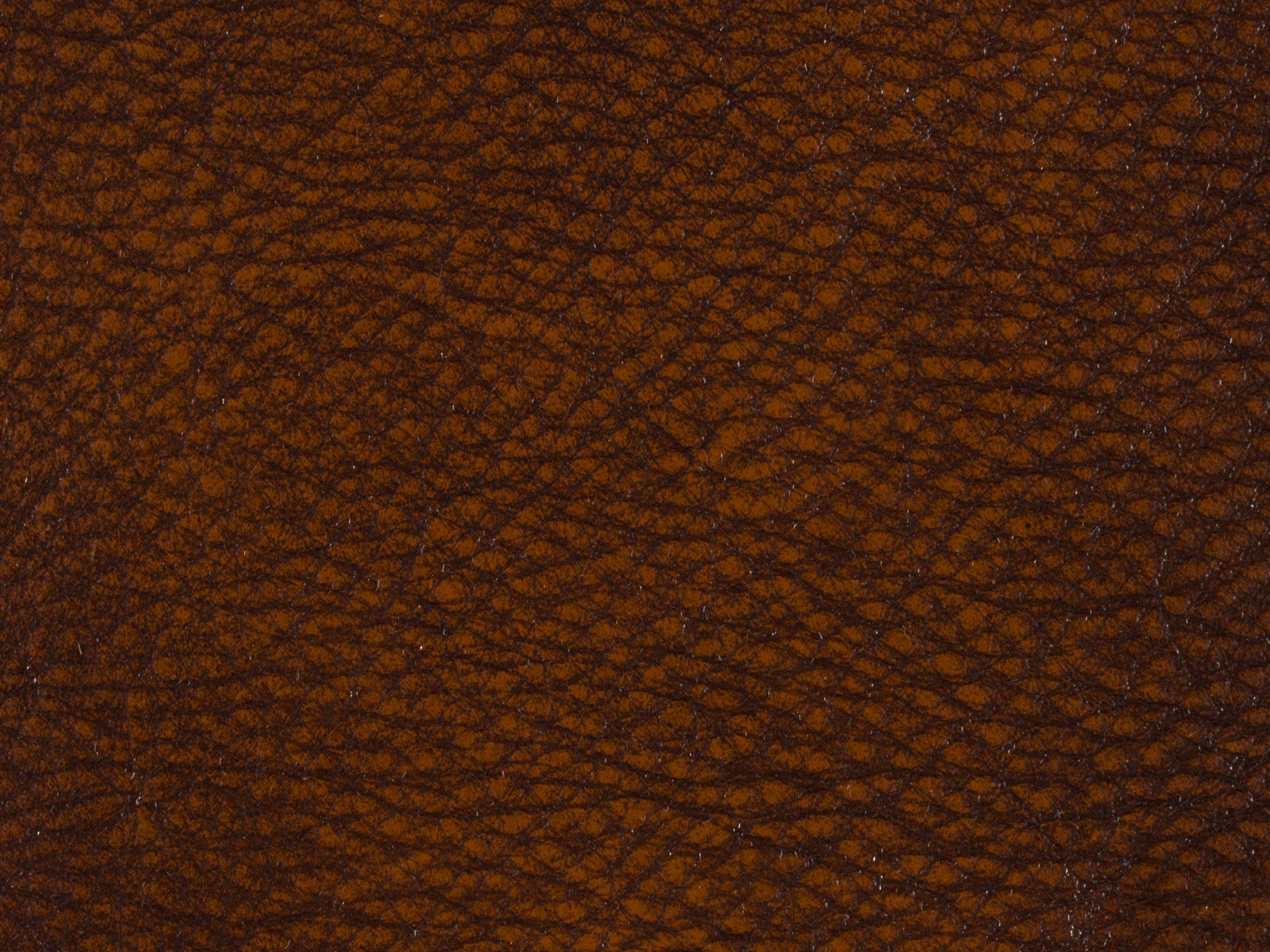 Erin Executive Swivel Tilt Chair - Frankwebs