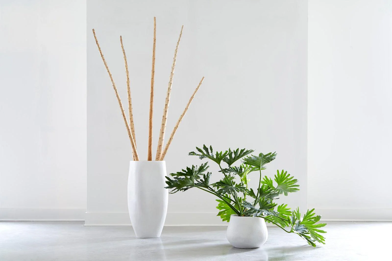 Claire Planter, Large, White - Frankwebs