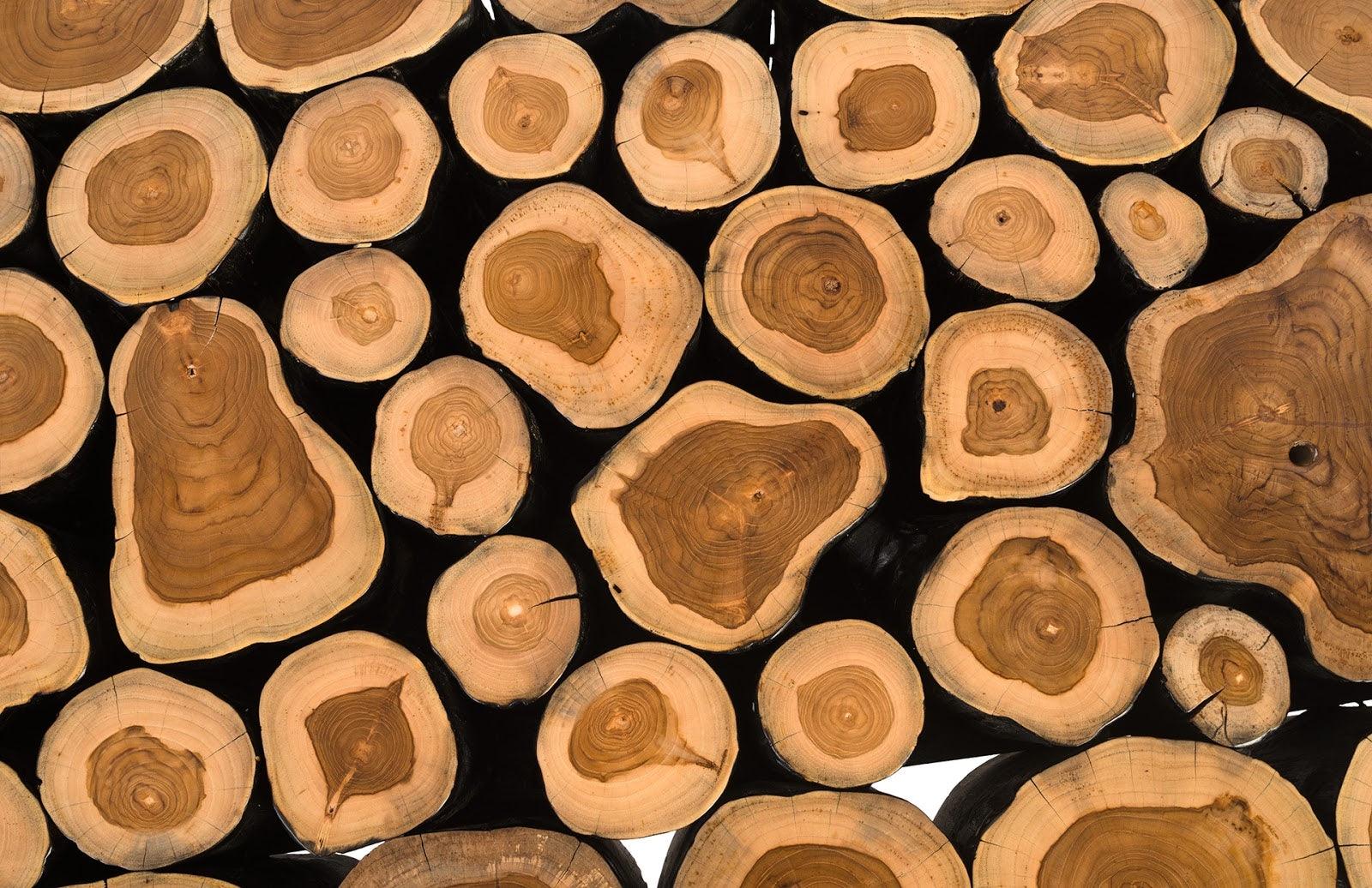 Boscage Coffee Table on Black Metal Legs, Rectangular - Frankwebs