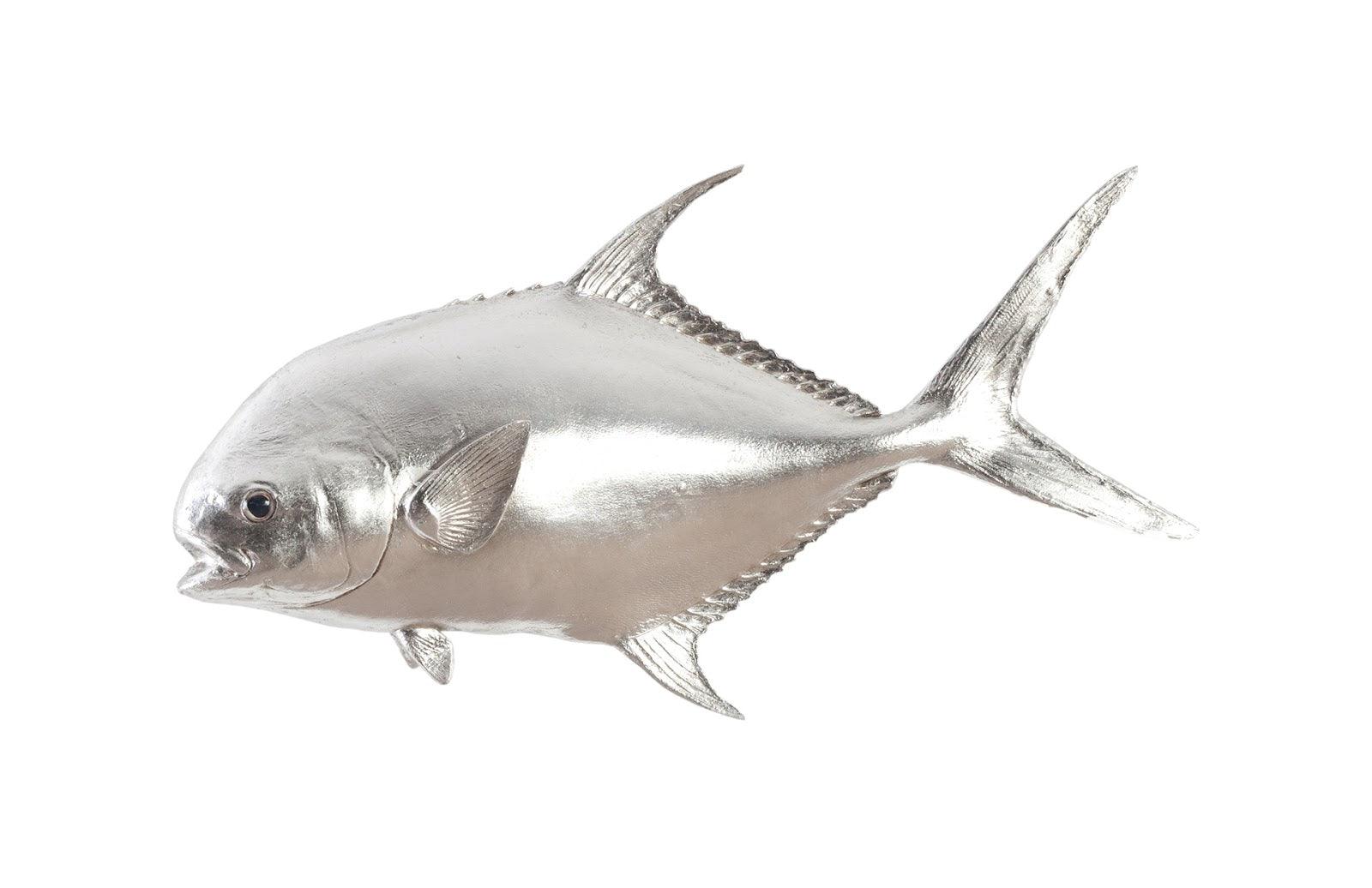 Permit Fish Wall Sculpture, Resin, Silver Leaf - Frankwebs