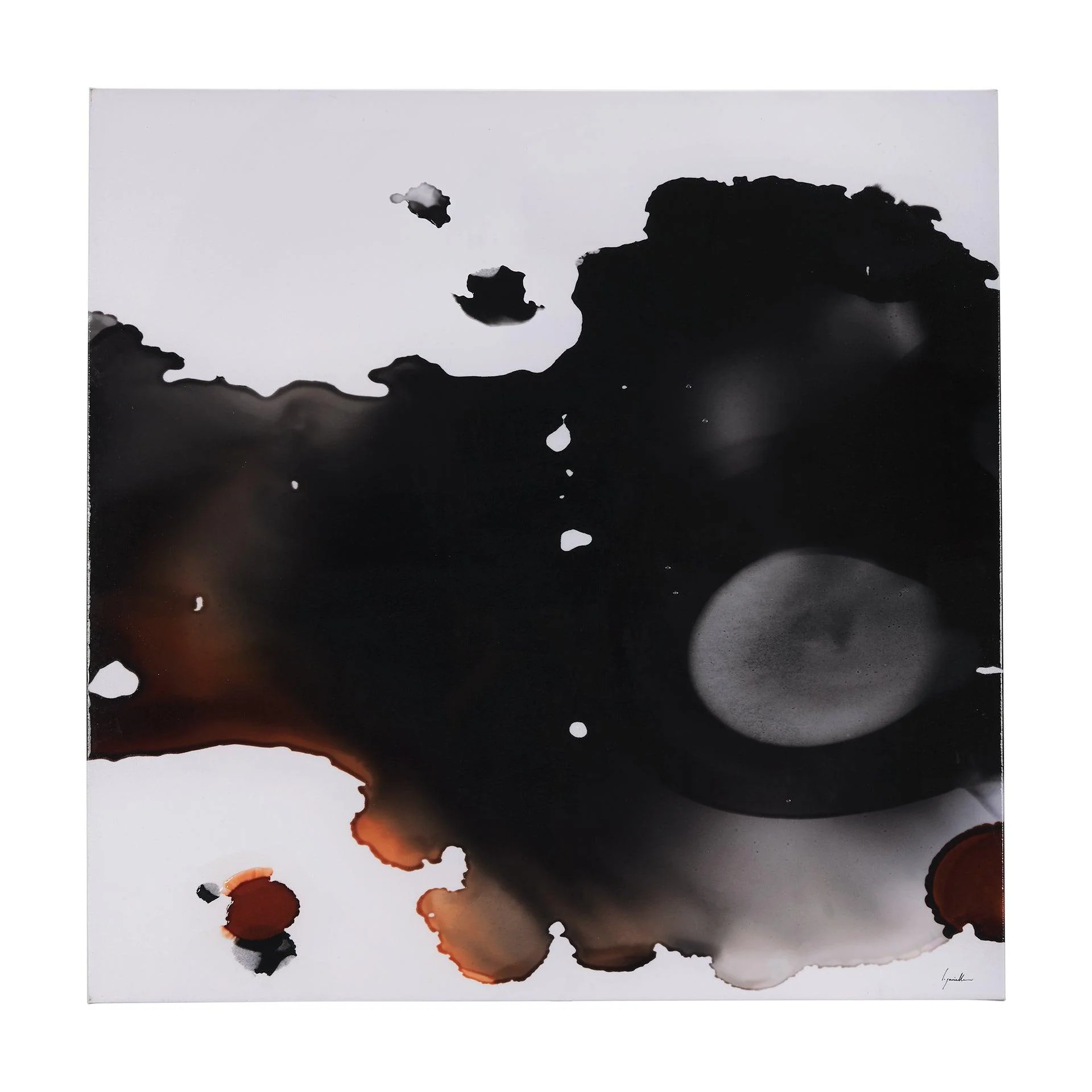 Shimmering Night II - Frankwebs