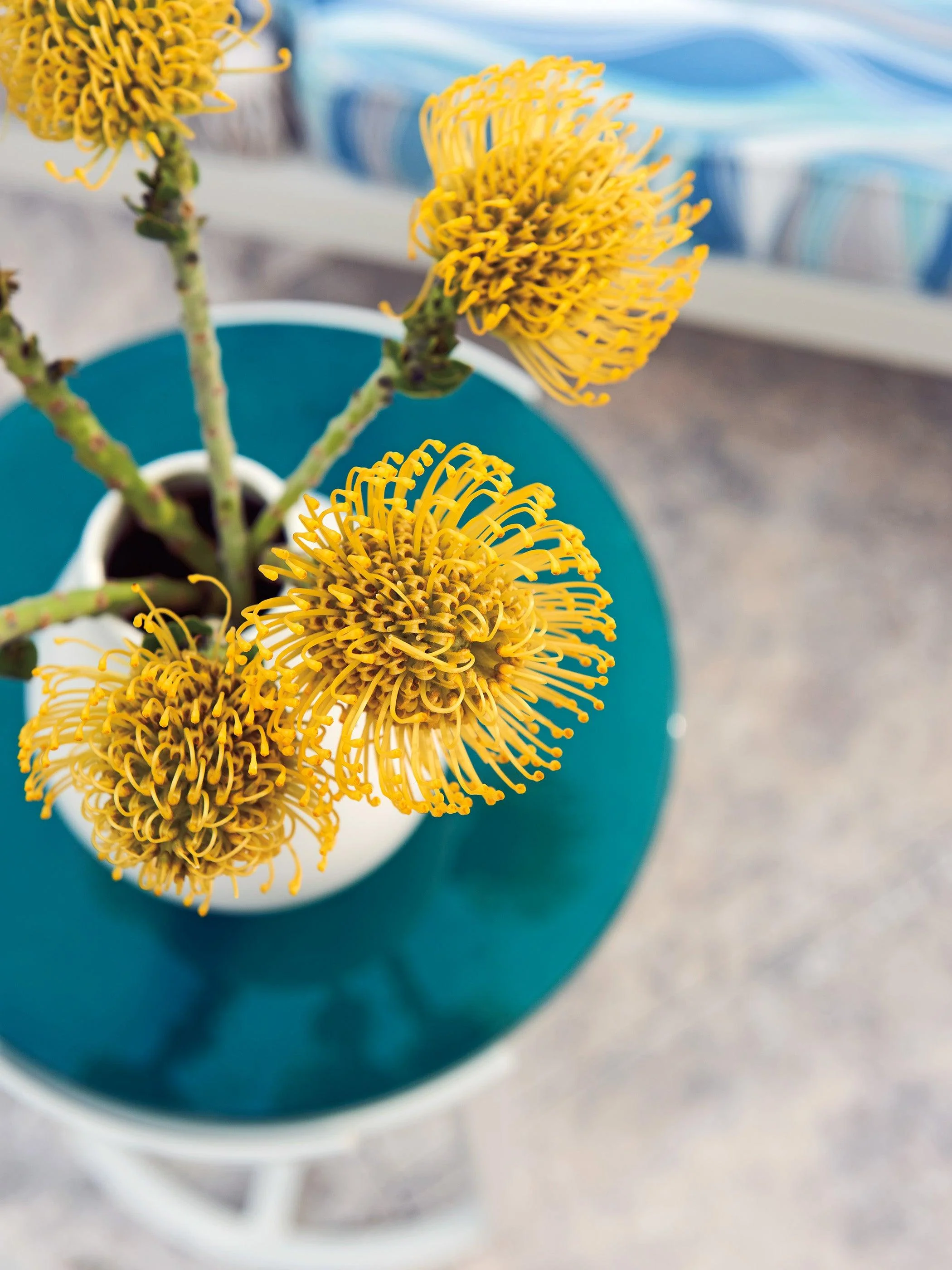 Seabrook Accent Table - Frankwebs