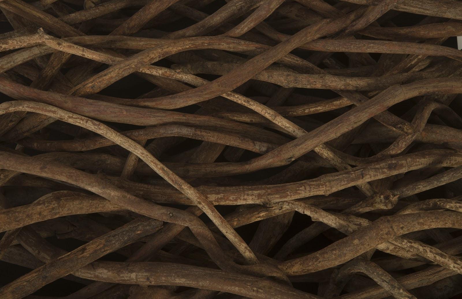 Vine Coffee Table, with Glass - Frankwebs