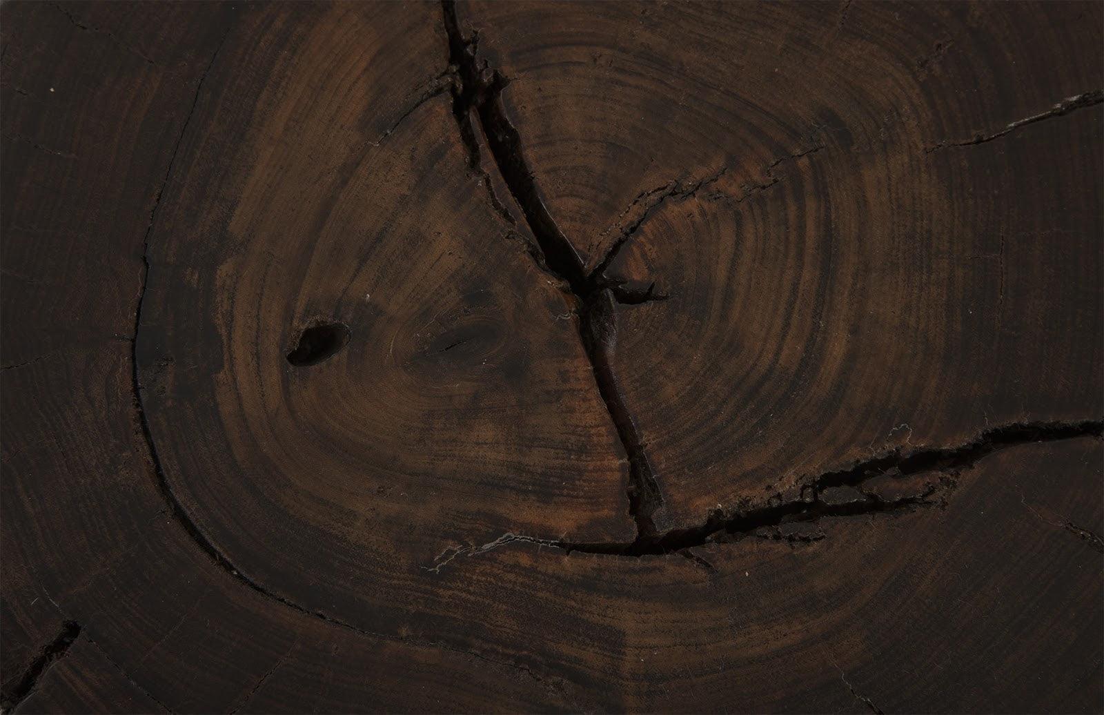 Nestled Cross Cut Side Table , Stainless Steel X Cross Leg - Frankwebs