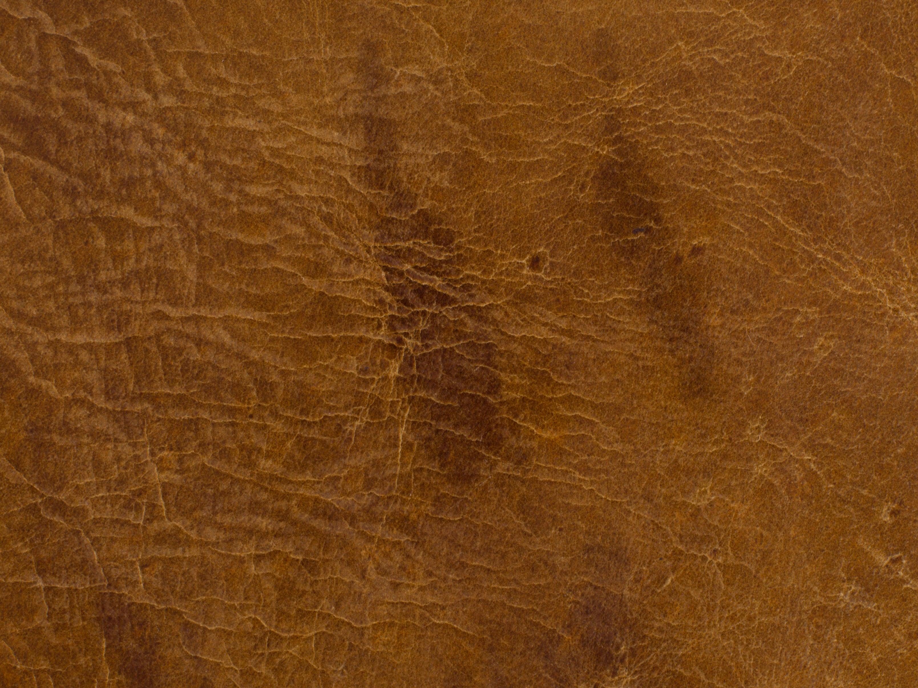 Conner Swivel Club Chair - Frankwebs