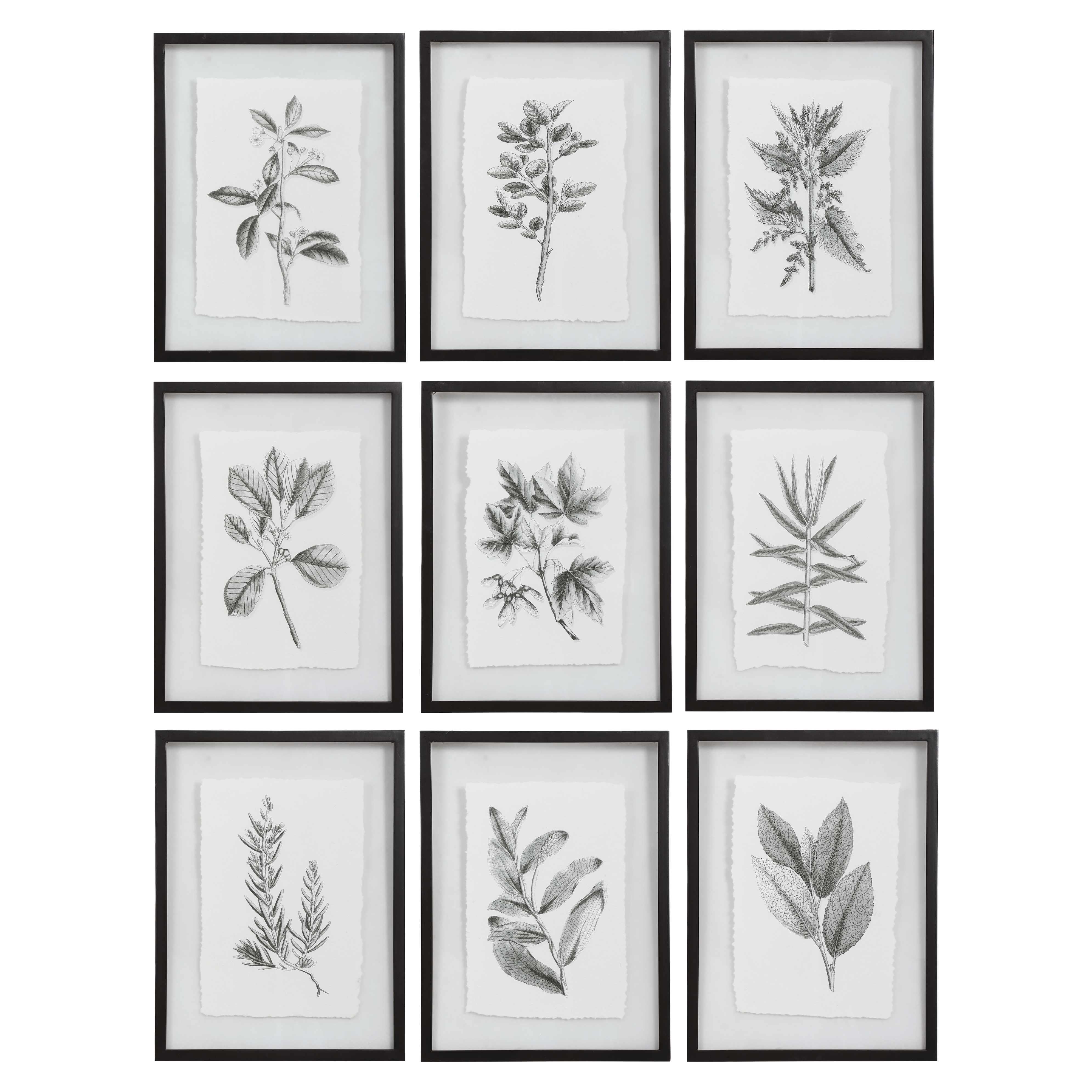 FARMHOUSE FLORALS FRAMED PRINTS, SET OF 9 - Frankwebs