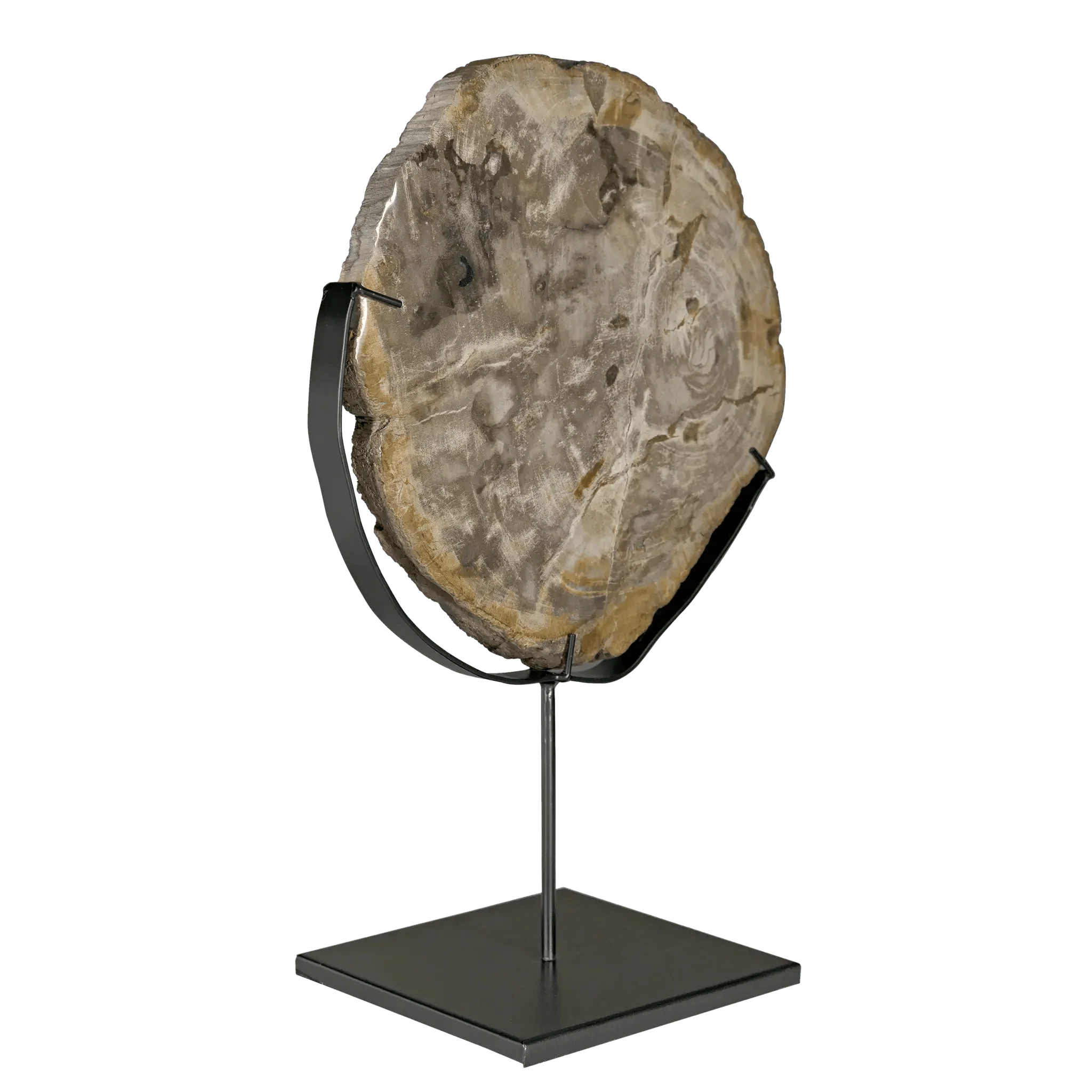 Wood Fossil with Stand, 12